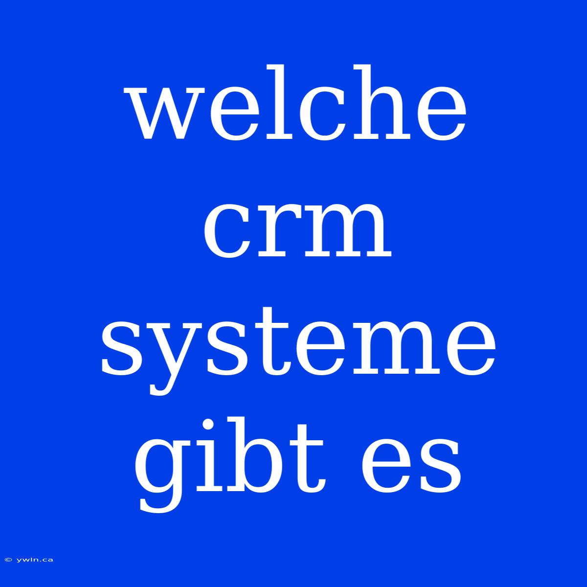 Welche Crm Systeme Gibt Es