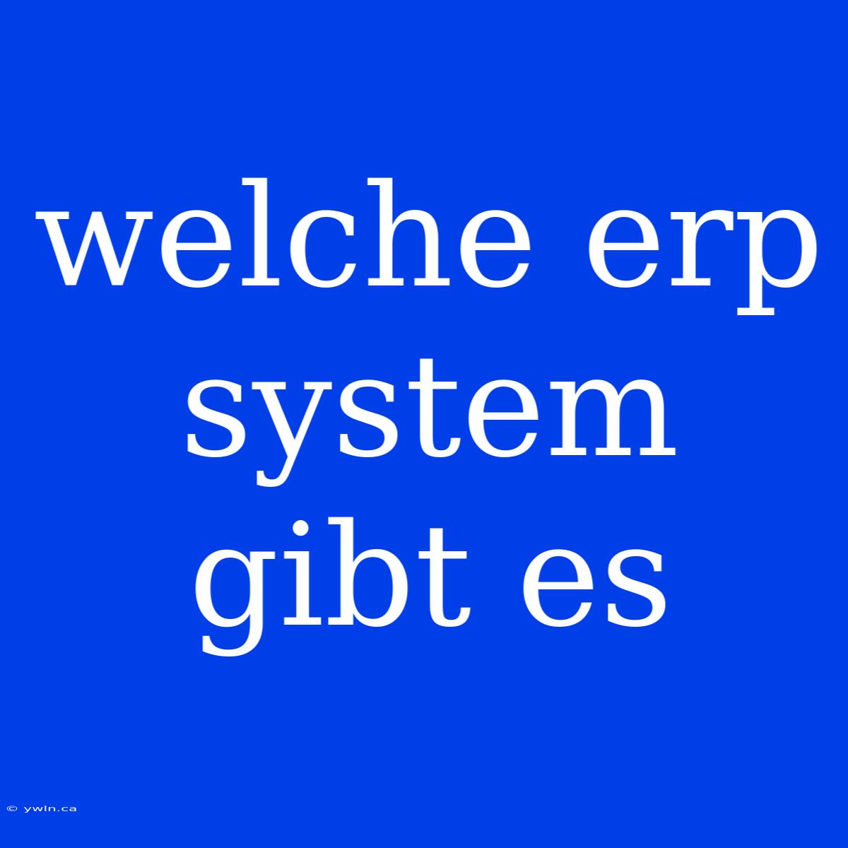 Welche Erp System Gibt Es