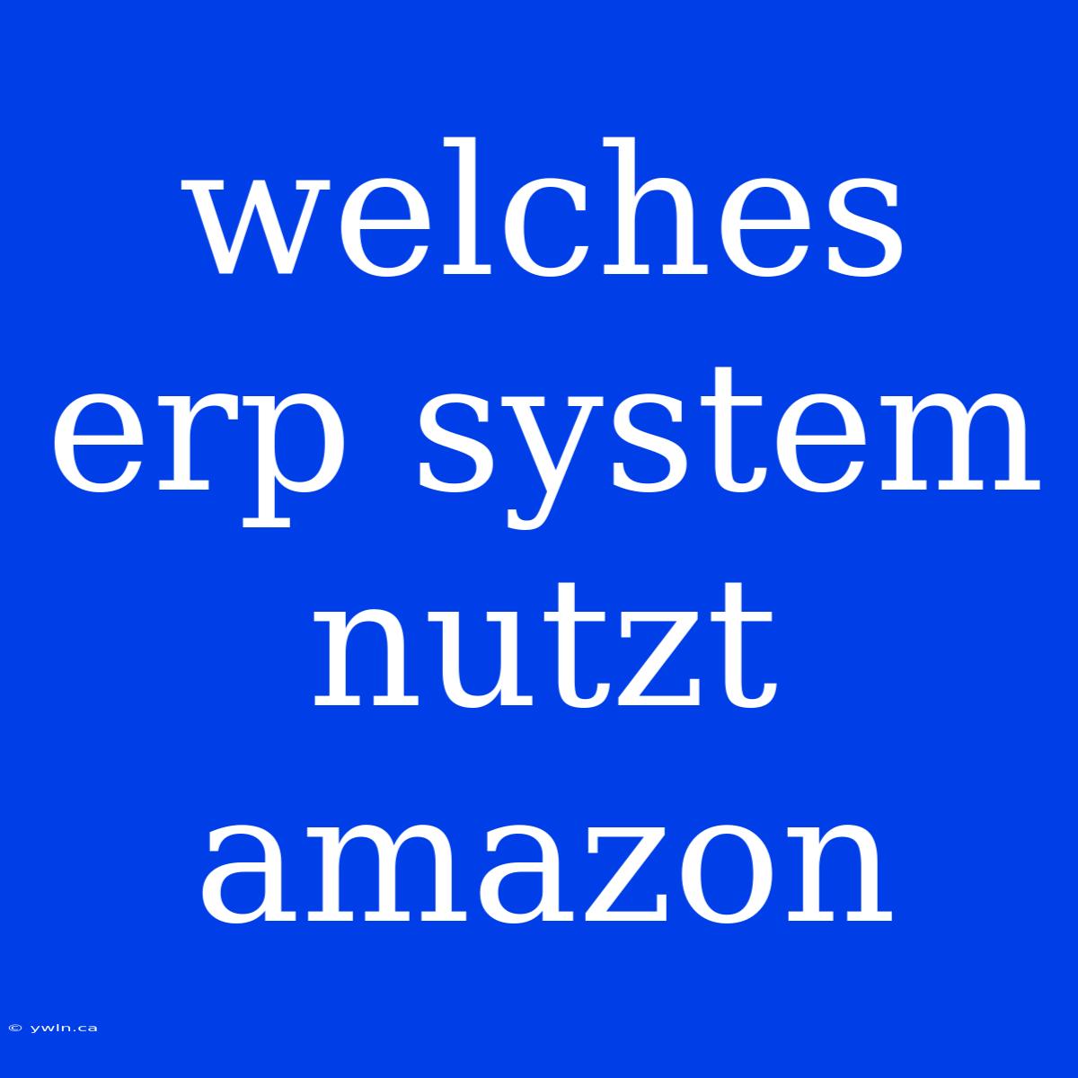 Welches Erp System Nutzt Amazon