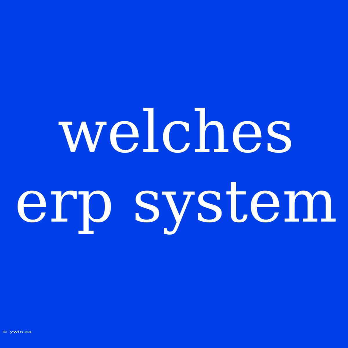 Welches Erp System