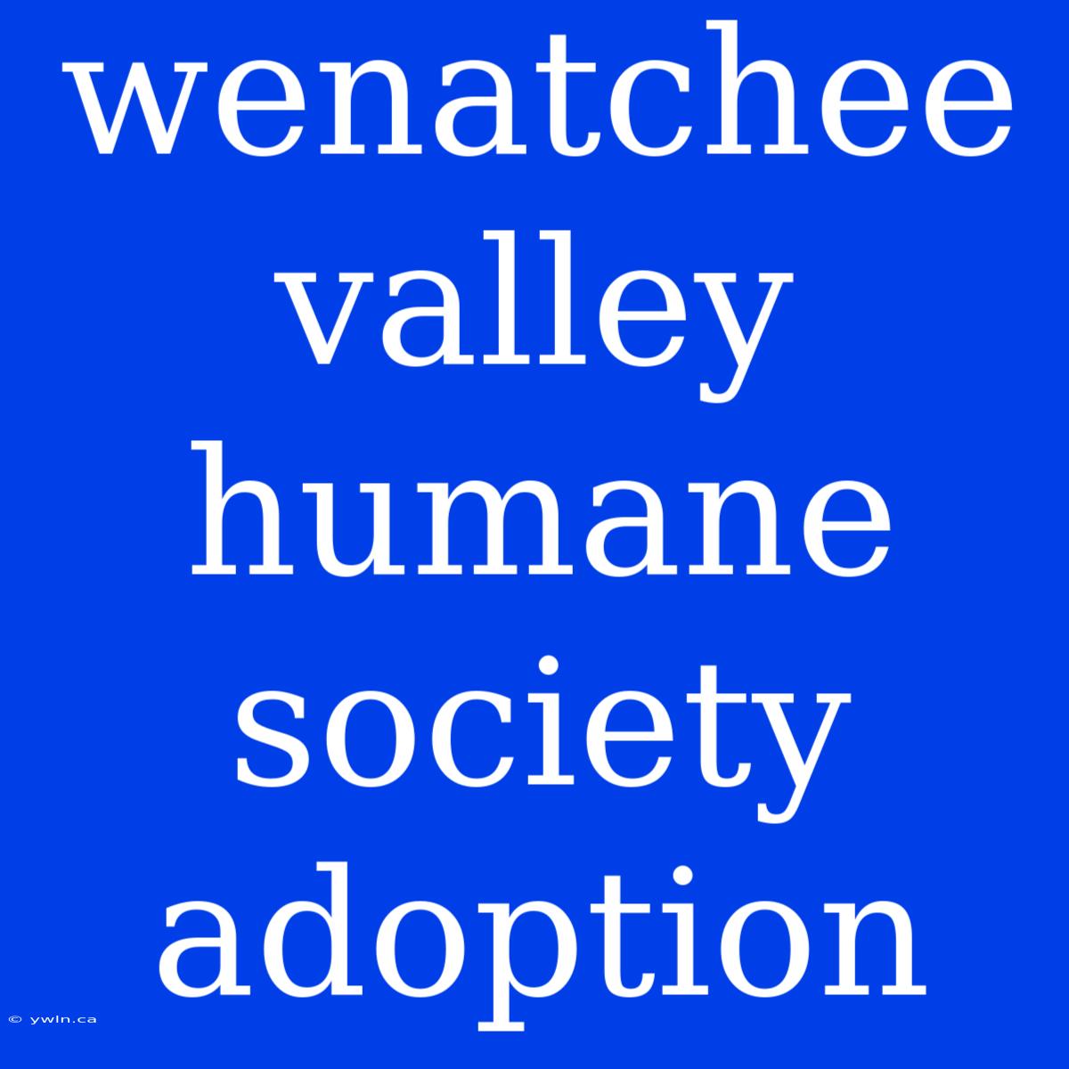 Wenatchee Valley Humane Society Adoption