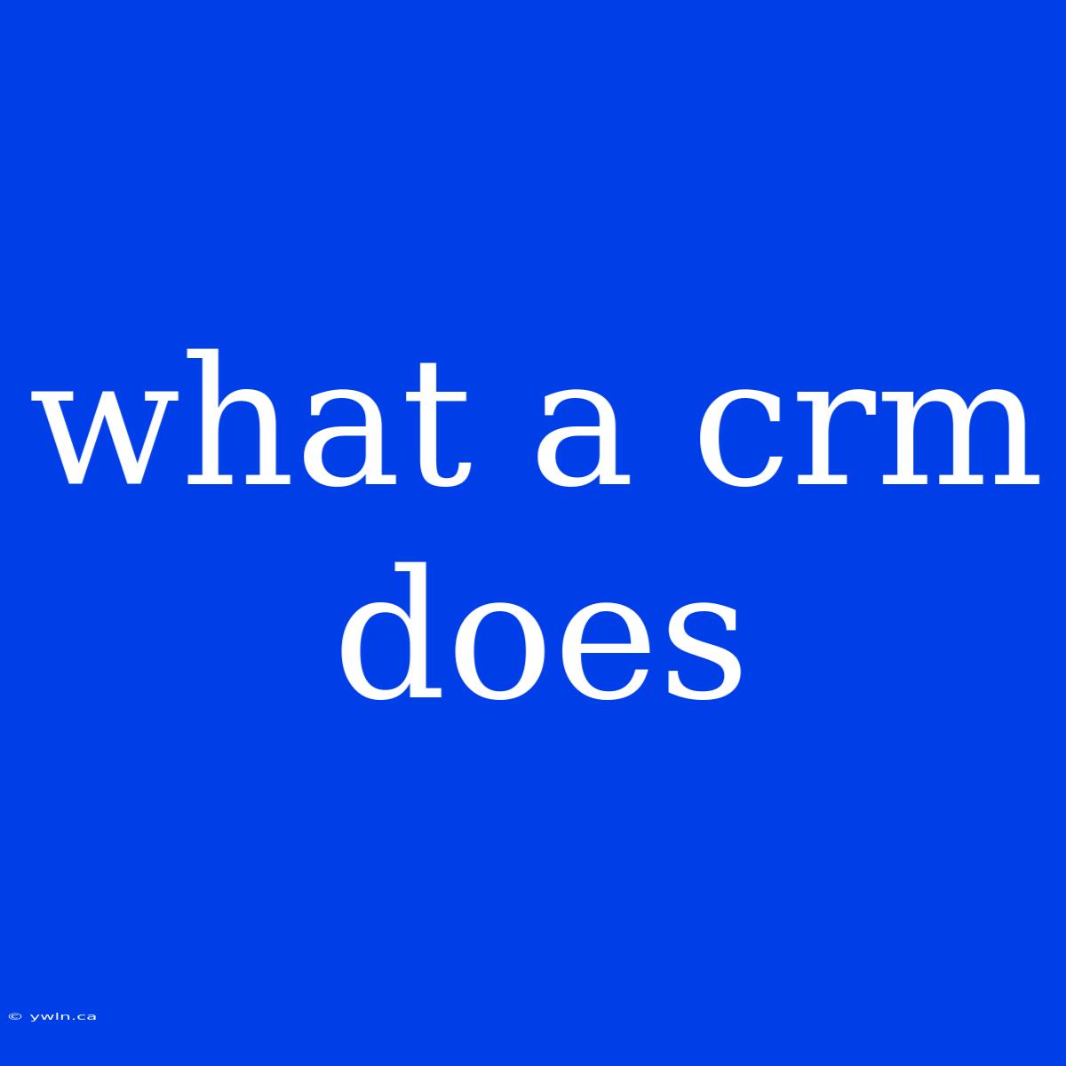 What A Crm Does