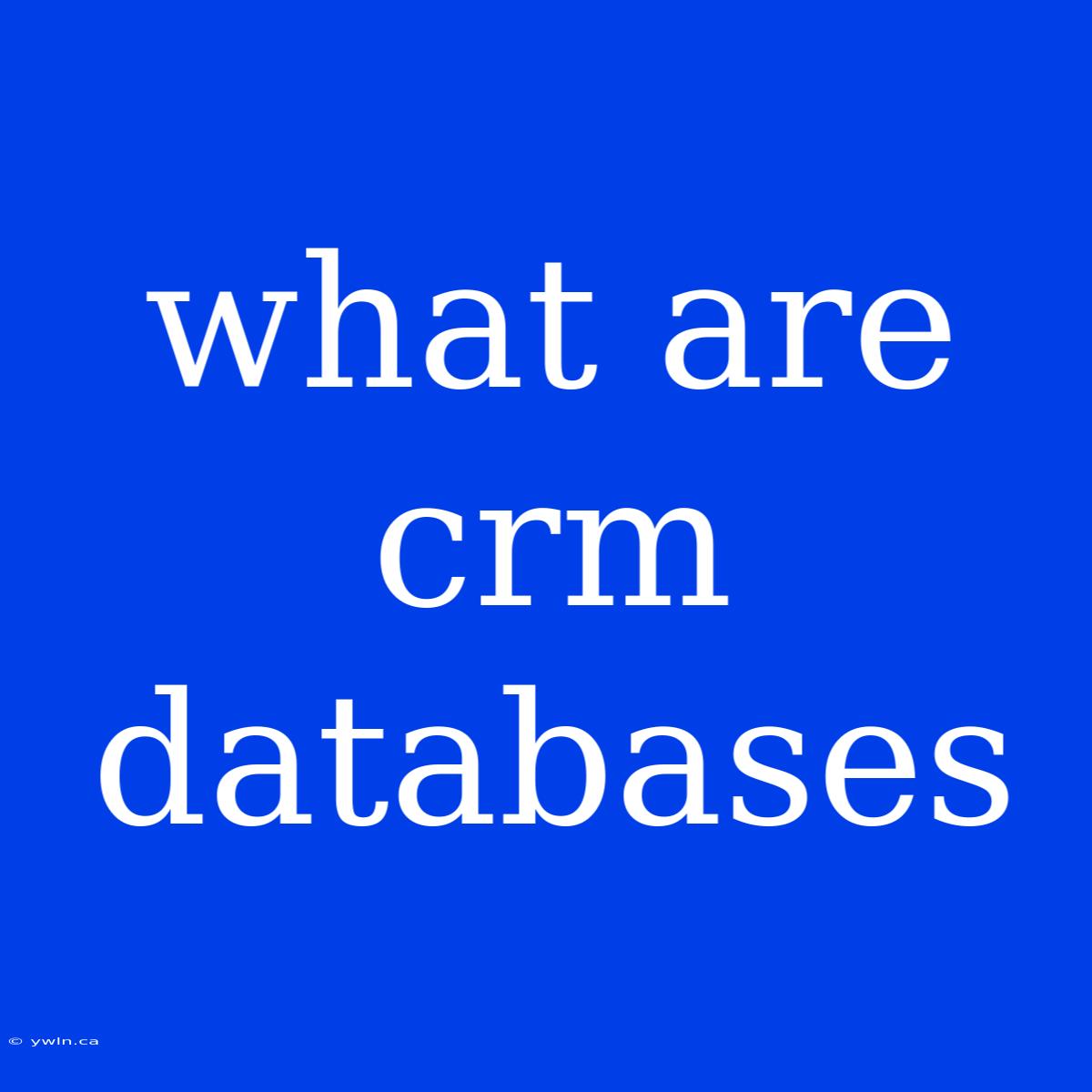 What Are Crm Databases