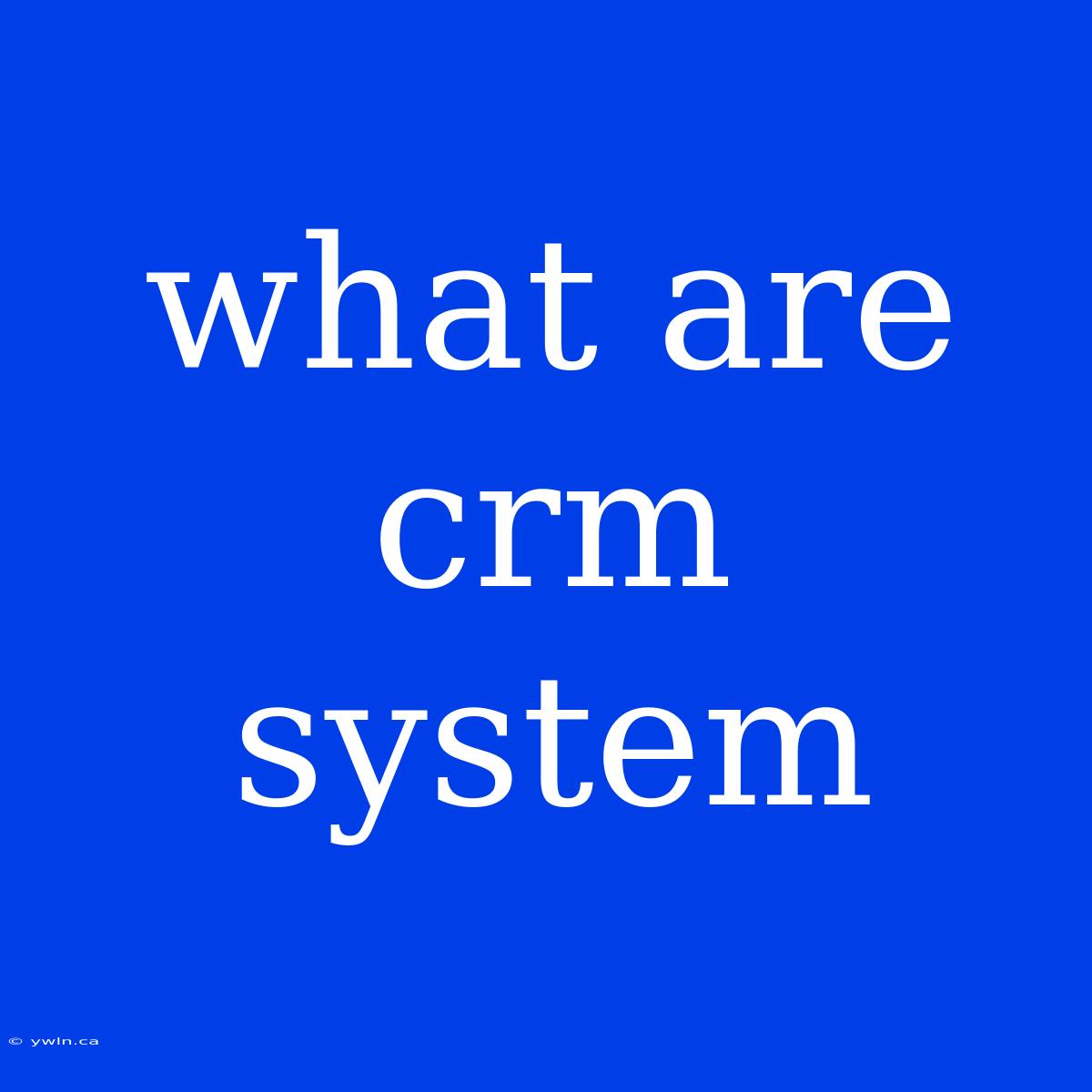 What Are Crm System