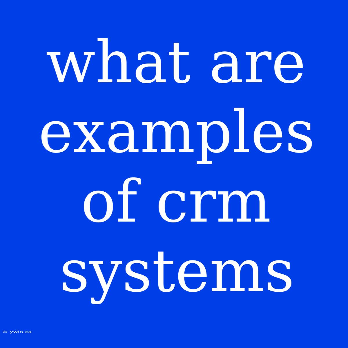 What Are Examples Of Crm Systems