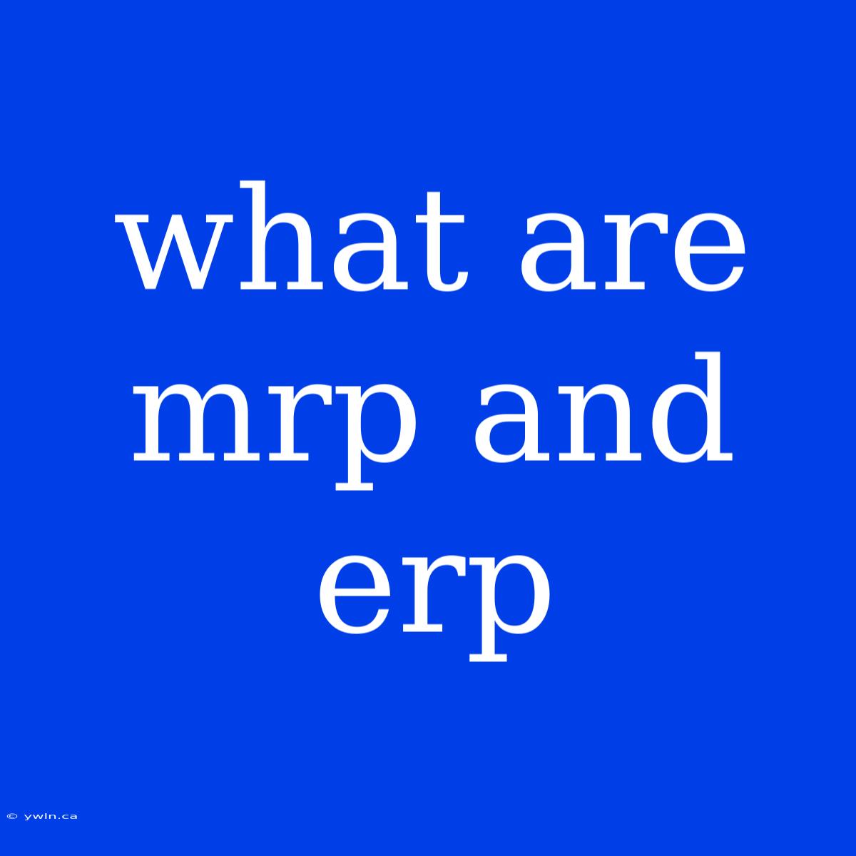 What Are Mrp And Erp