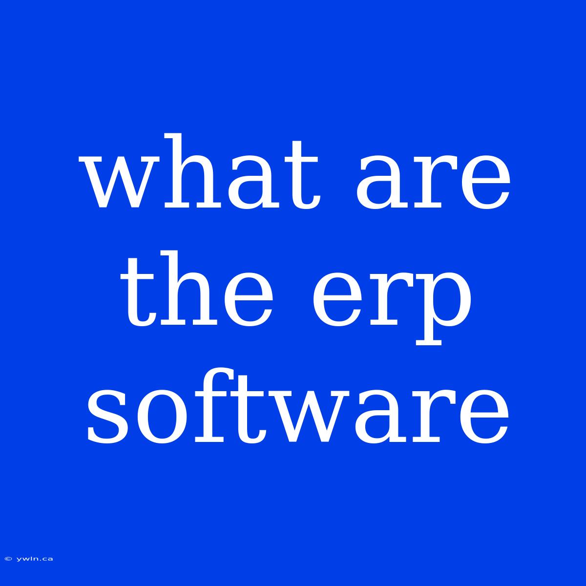 What Are The Erp Software