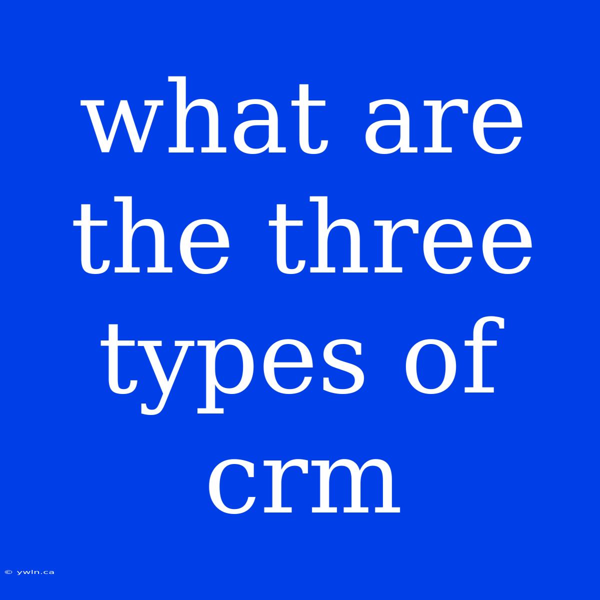 What Are The Three Types Of Crm