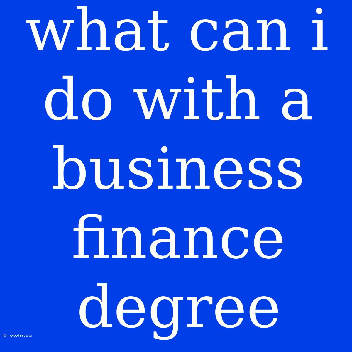 What Can I Do With A Business Finance Degree