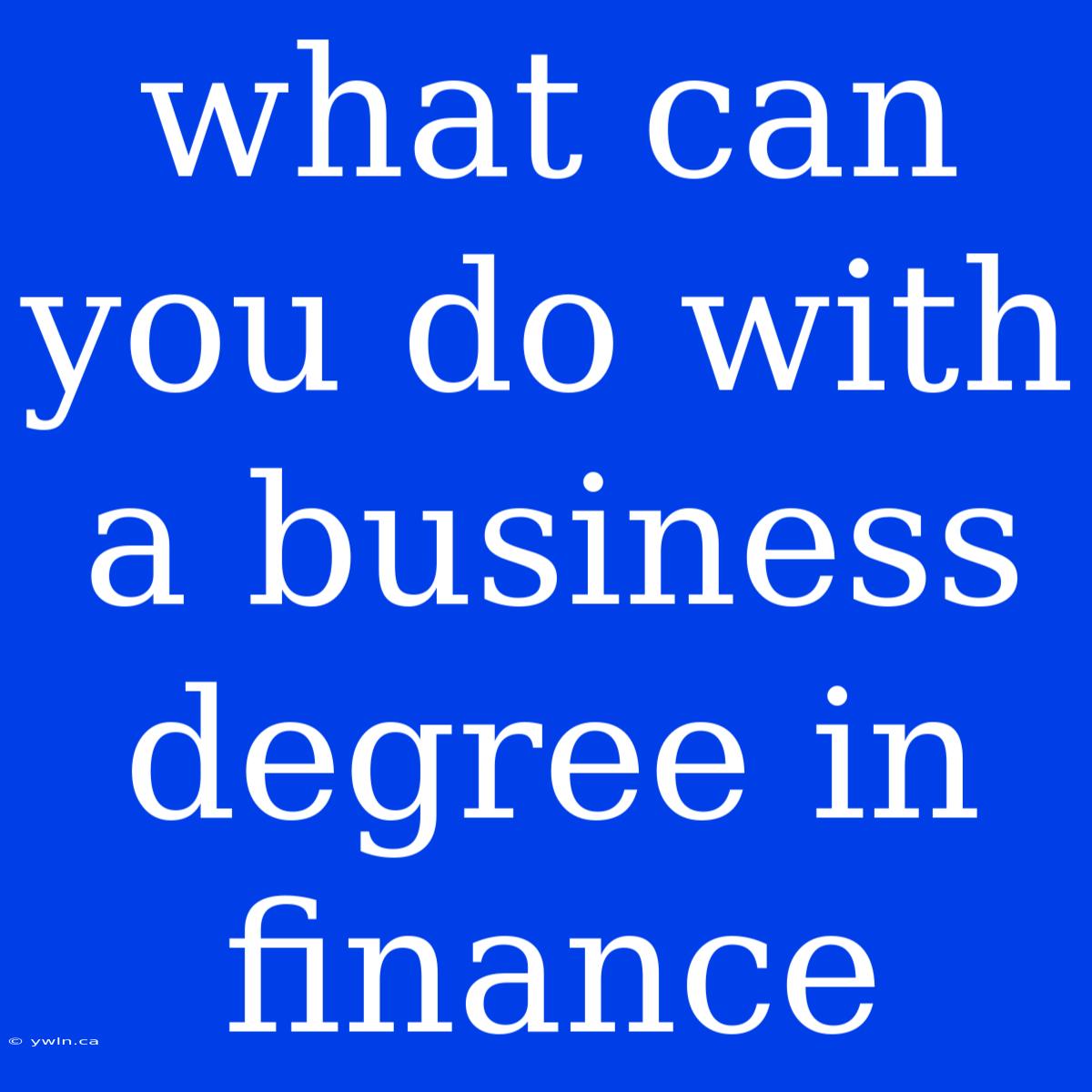 What Can You Do With A Business Degree In Finance