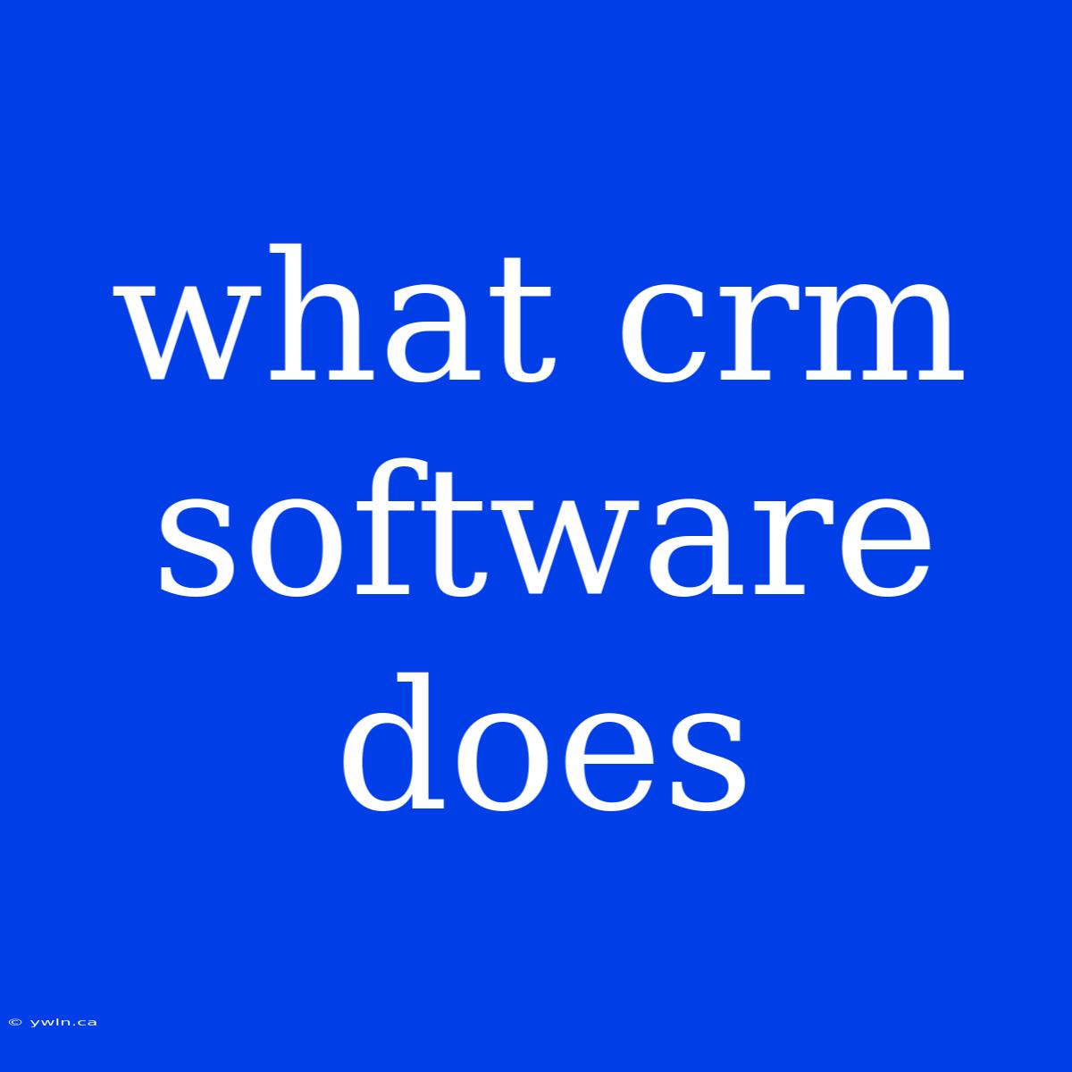 What Crm Software Does