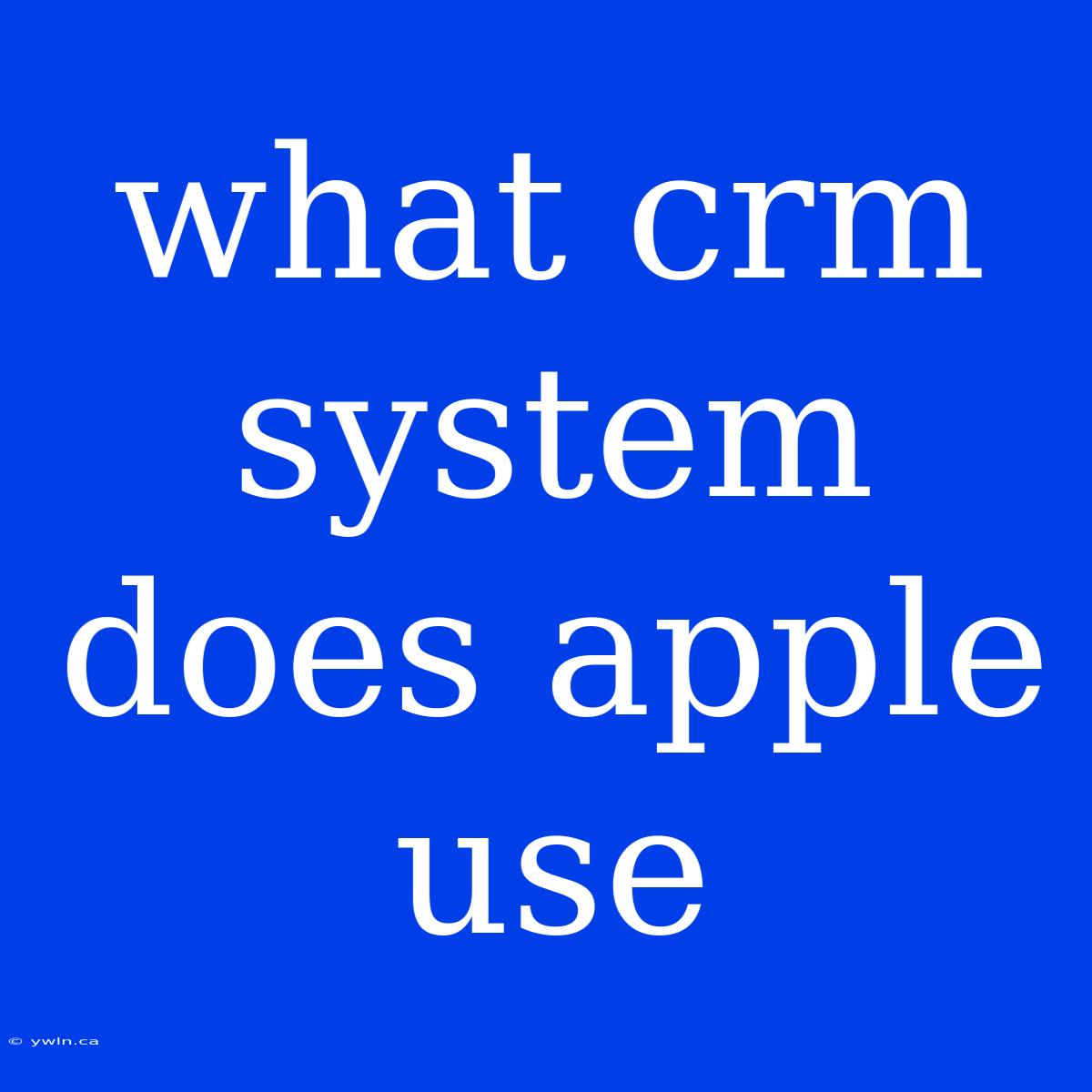 What Crm System Does Apple Use