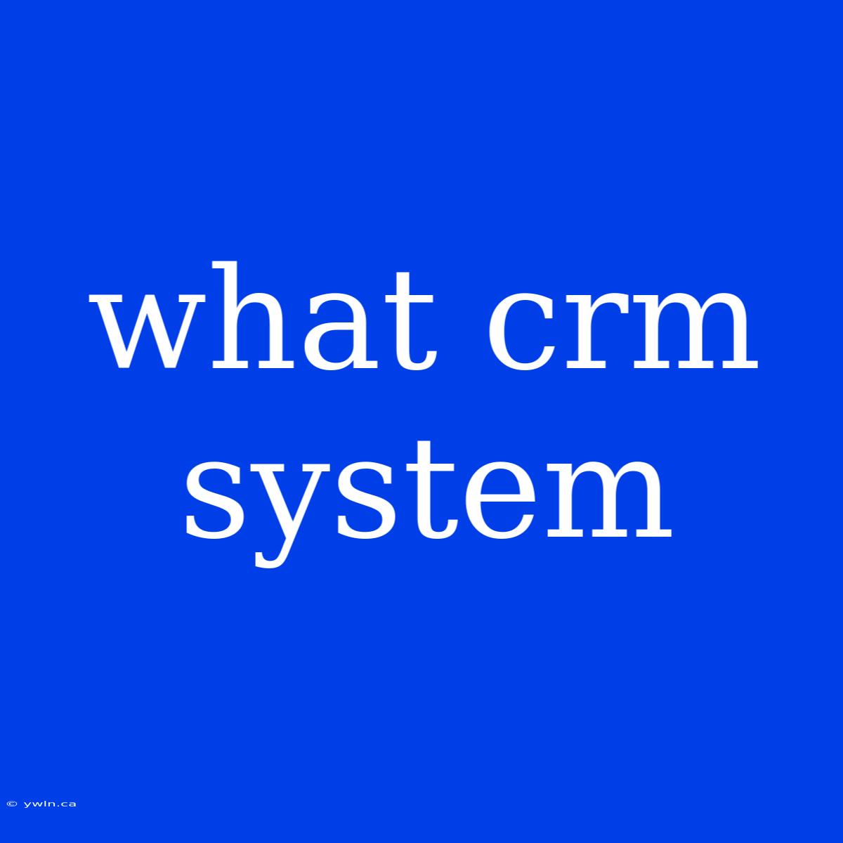 What Crm System