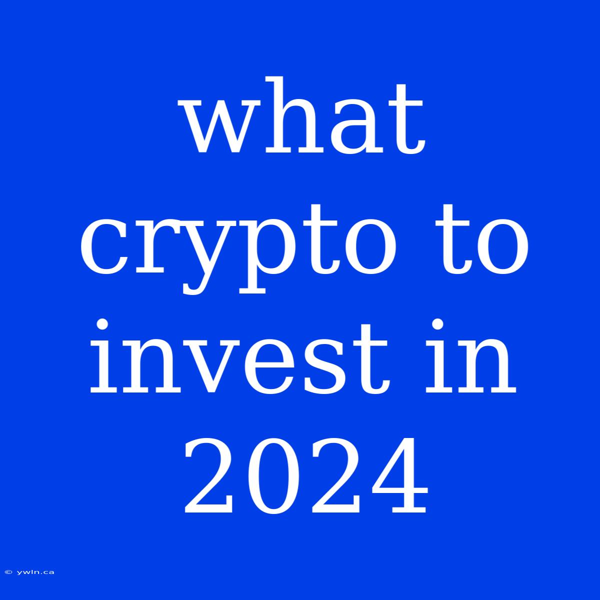 What Crypto To Invest In 2024