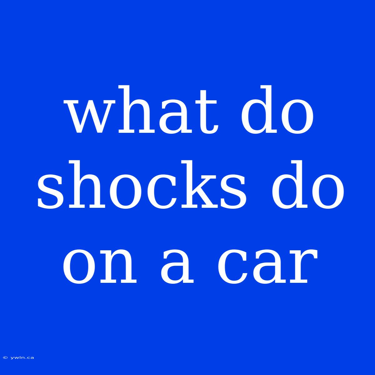 What Do Shocks Do On A Car