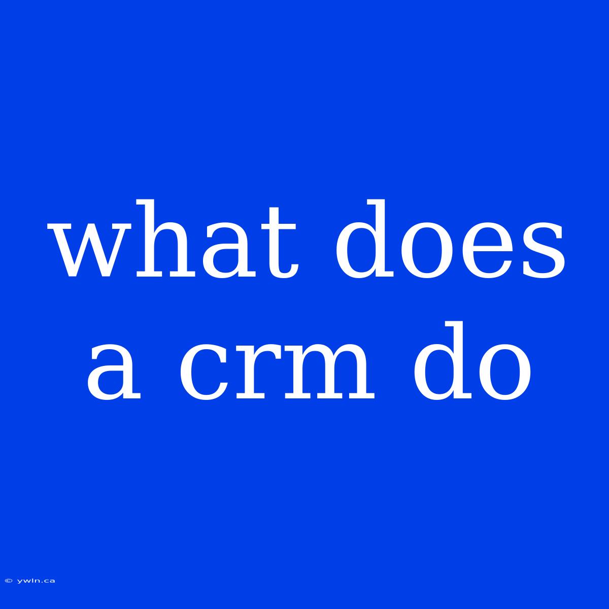 What Does A Crm Do