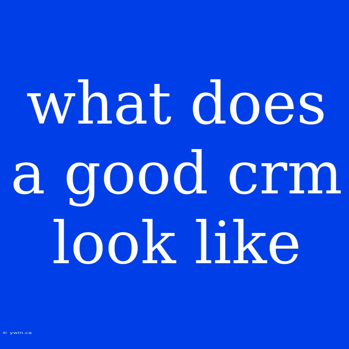 What Does A Good Crm Look Like