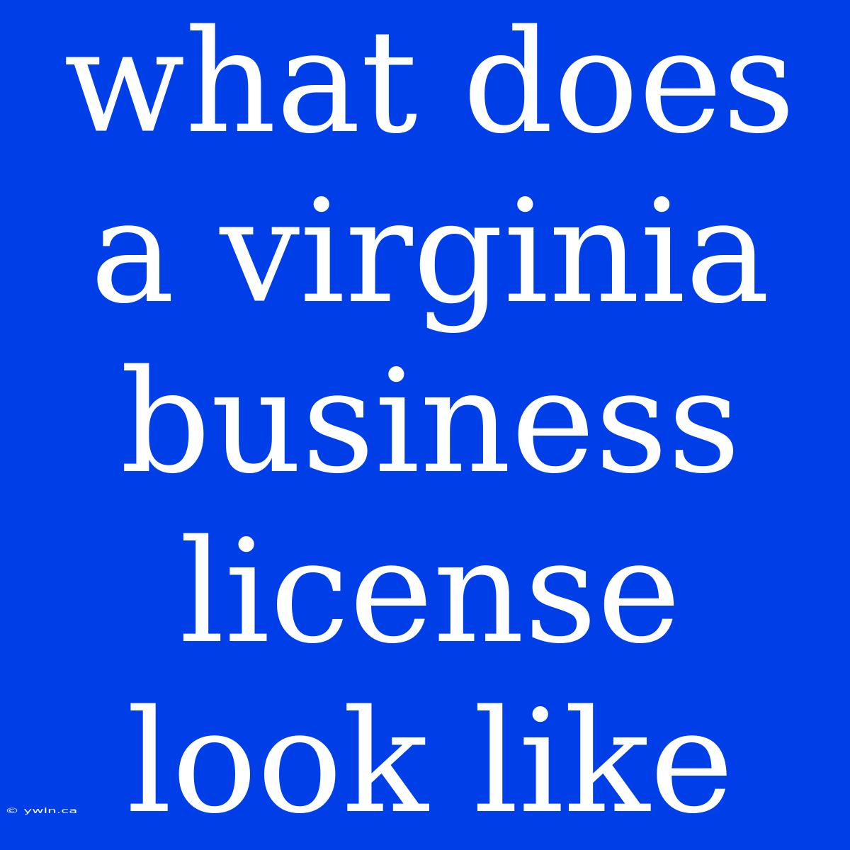 What Does A Virginia Business License Look Like