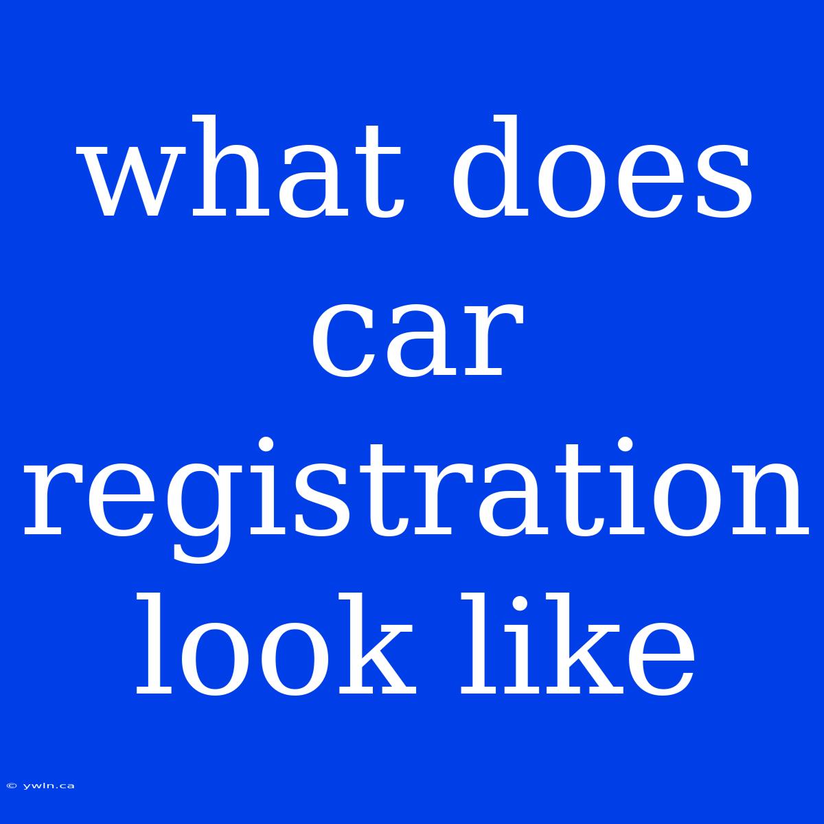 What Does Car Registration Look Like