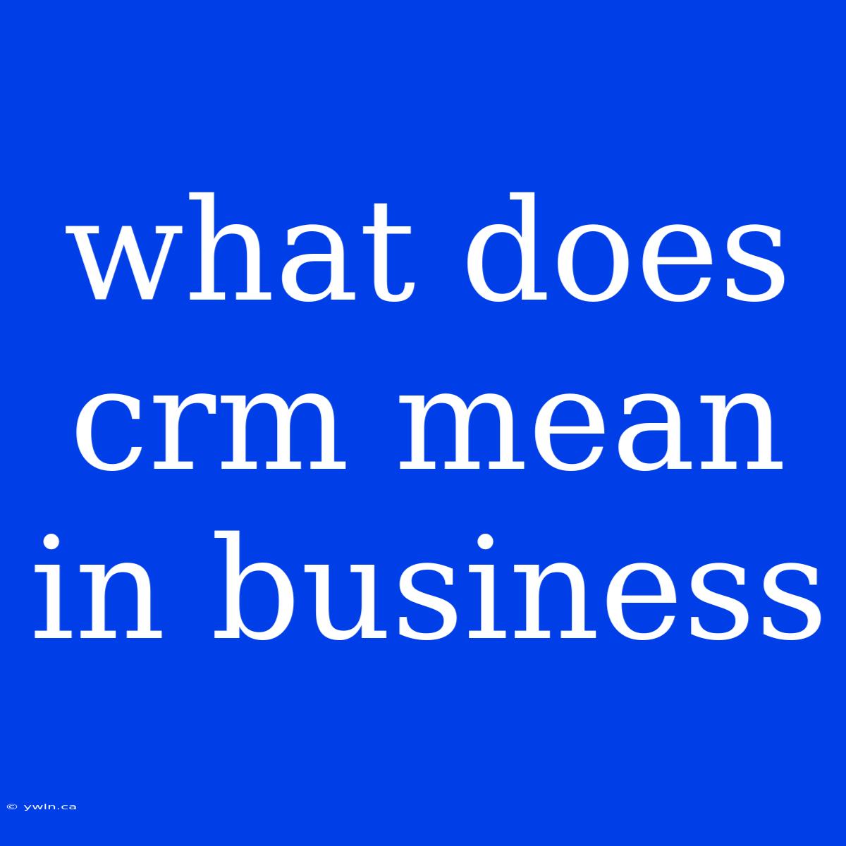 What Does Crm Mean In Business