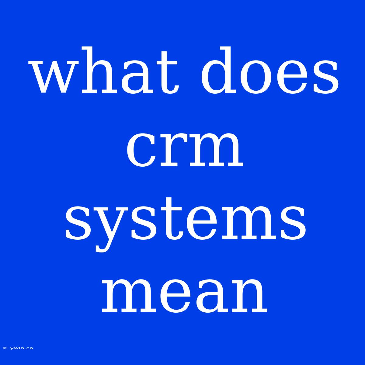 What Does Crm Systems Mean