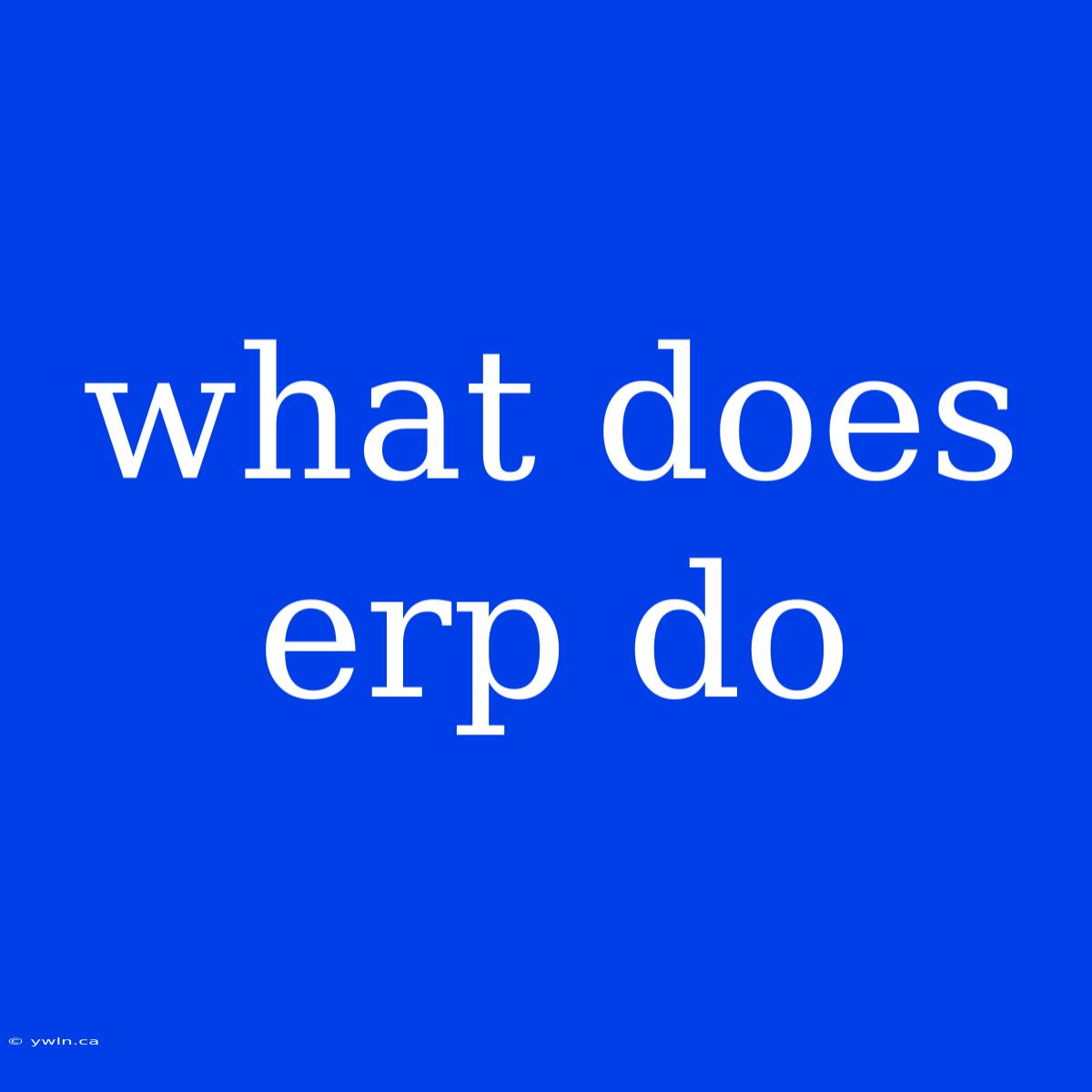 What Does Erp Do