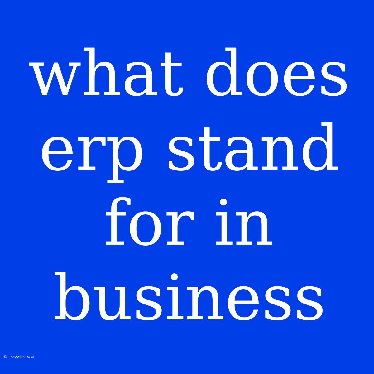 What Does Erp Stand For In Business