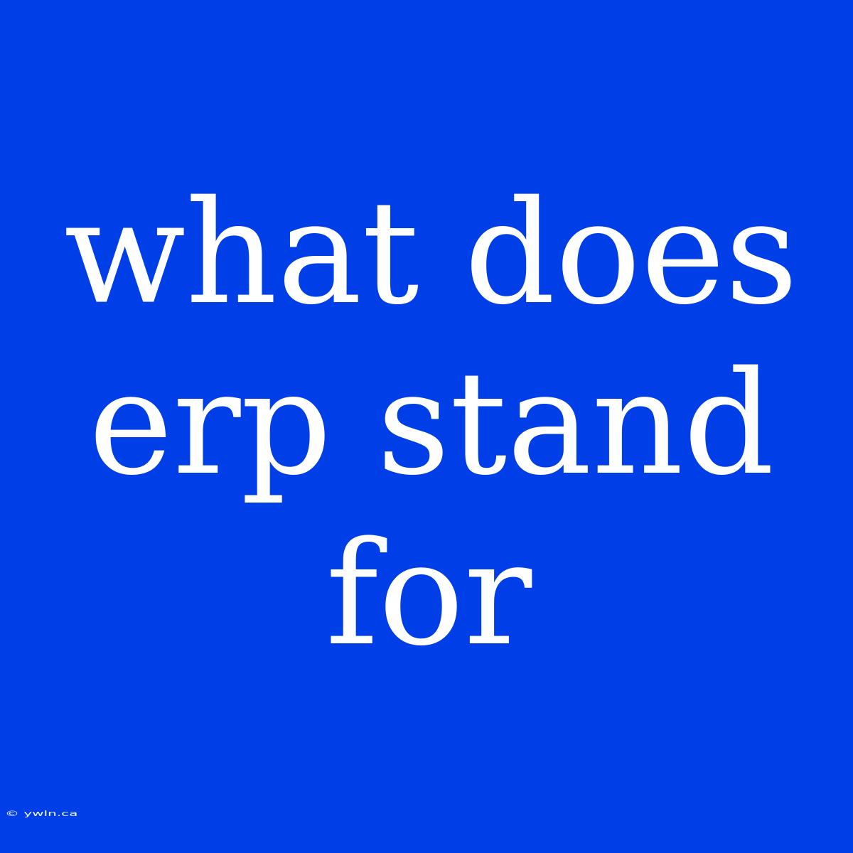 What Does Erp Stand For