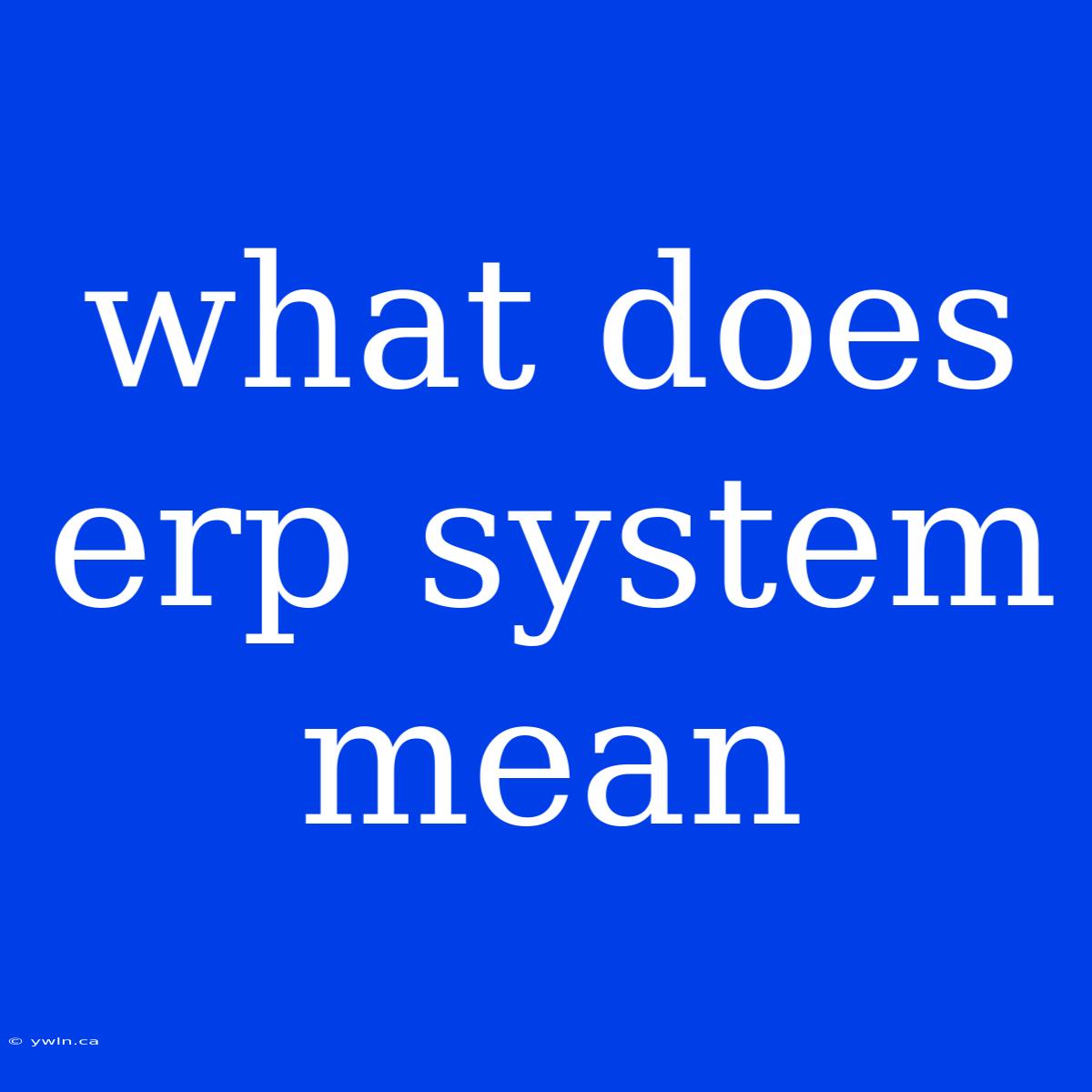 What Does Erp System Mean