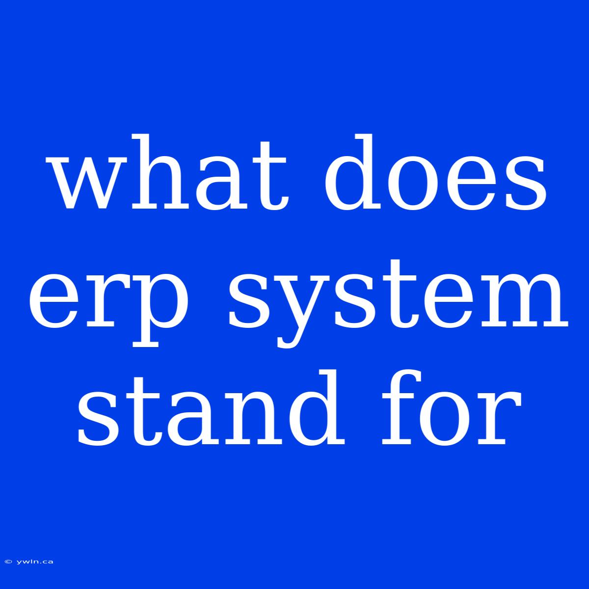 What Does Erp System Stand For