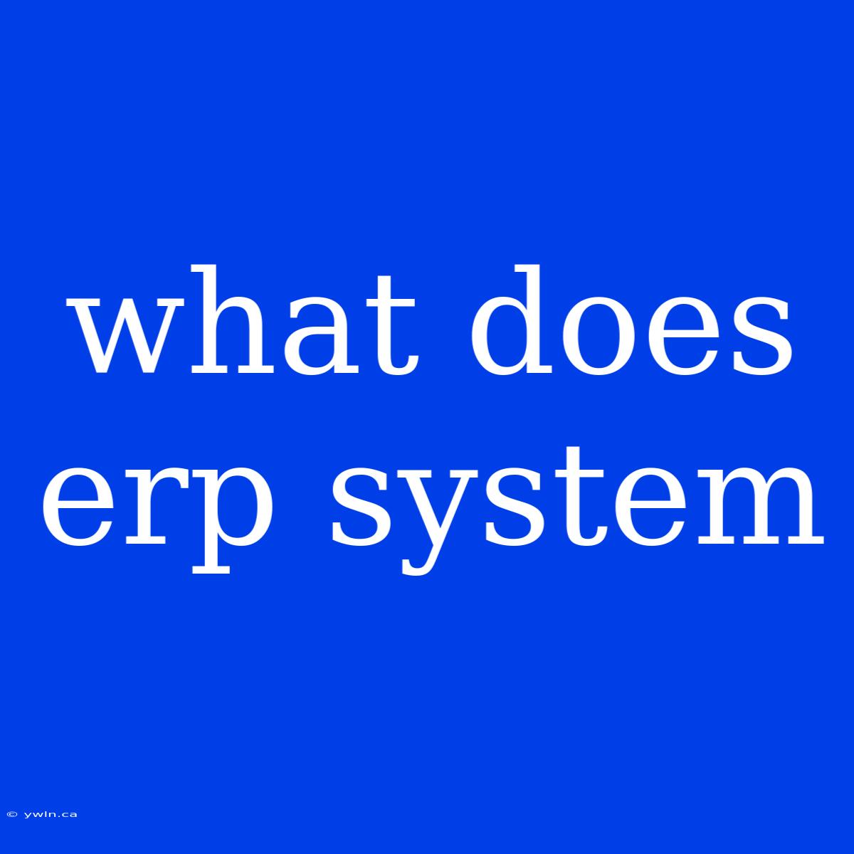 What Does Erp System