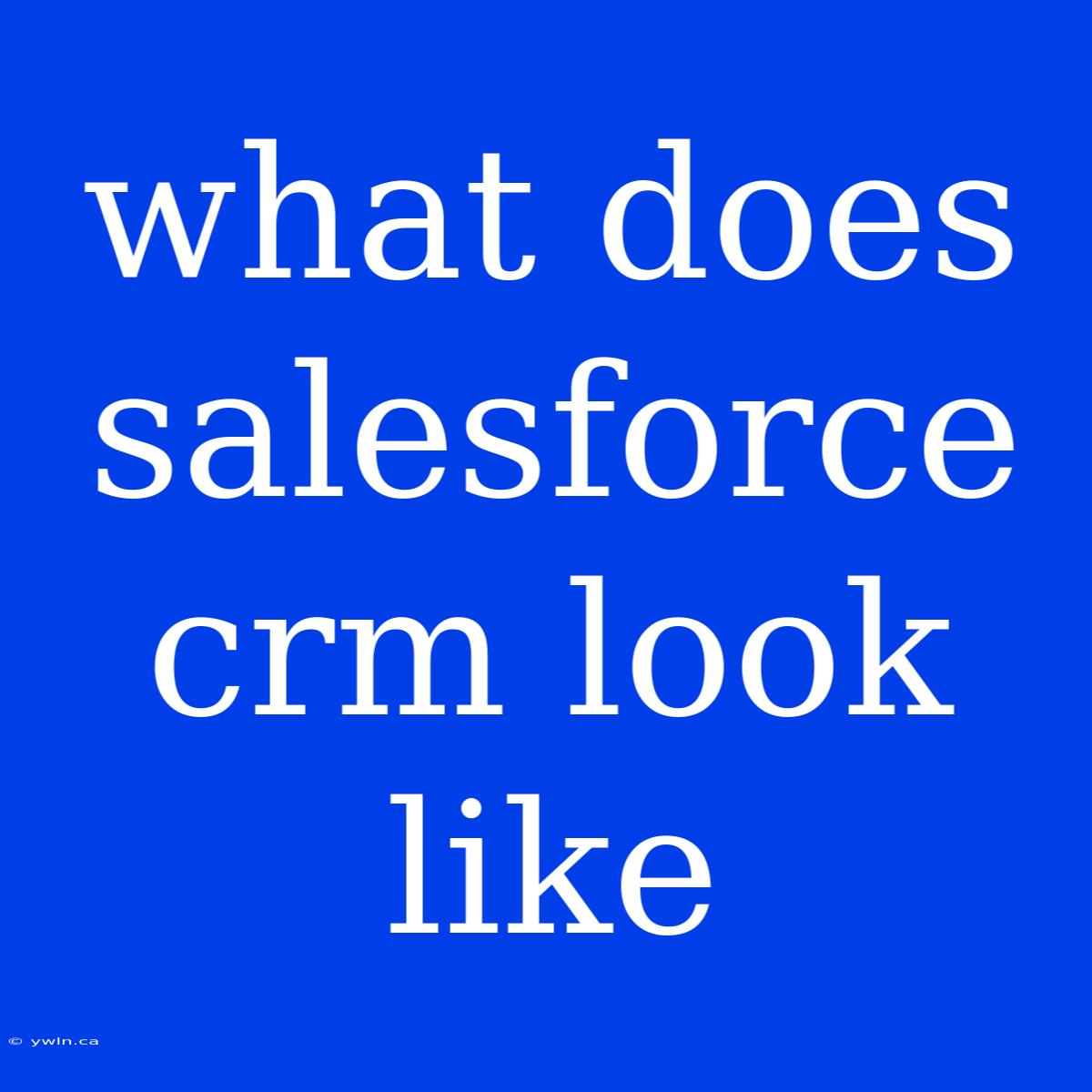 What Does Salesforce Crm Look Like