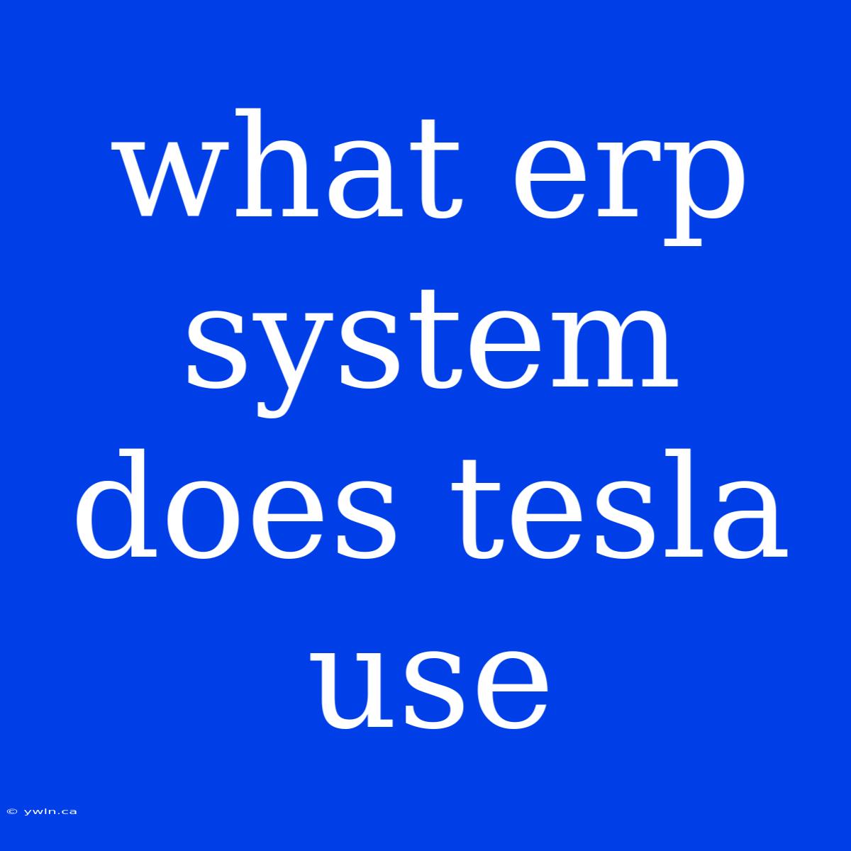 What Erp System Does Tesla Use