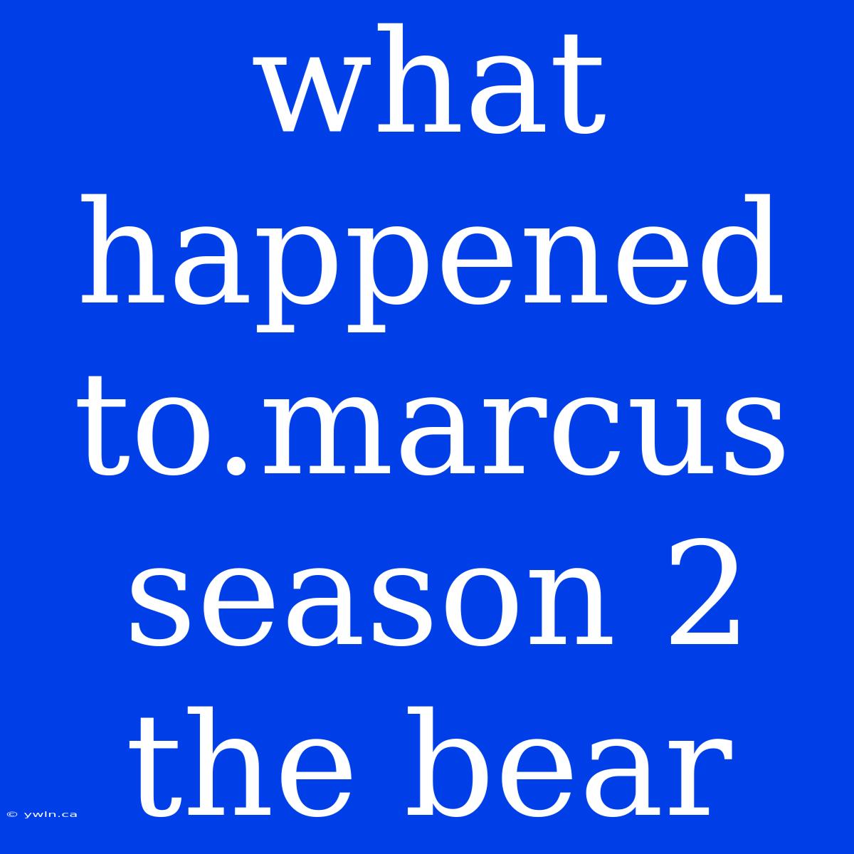 What Happened To.marcus Season 2 The Bear