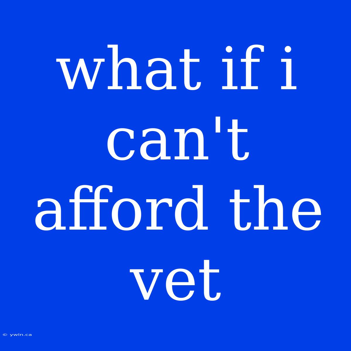 What If I Can't Afford The Vet