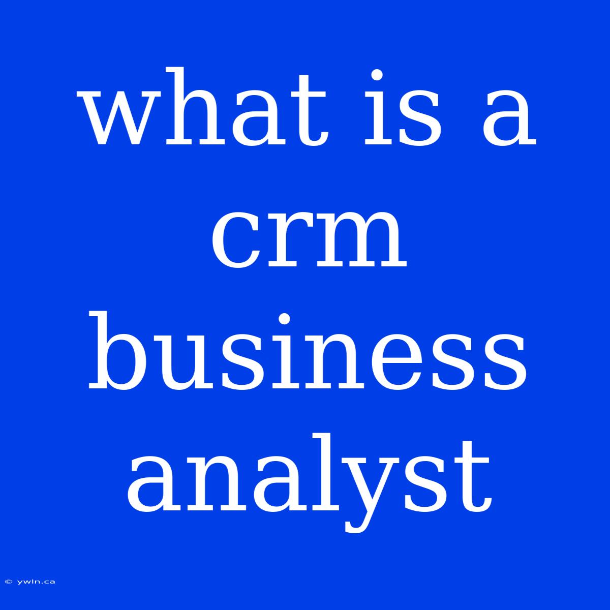 What Is A Crm Business Analyst