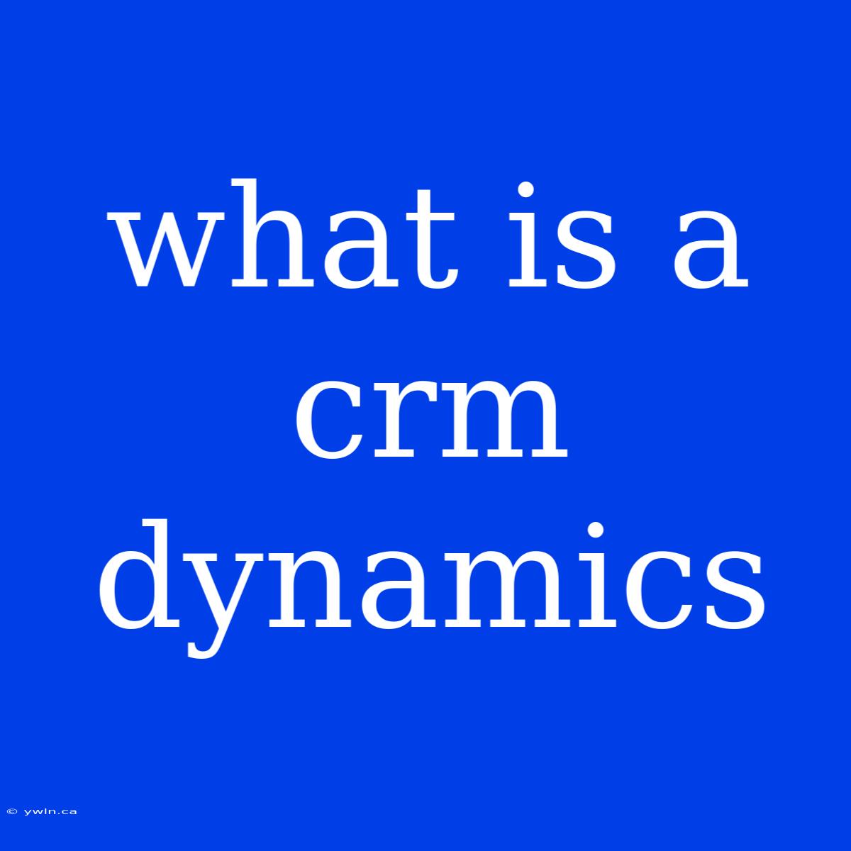 What Is A Crm Dynamics