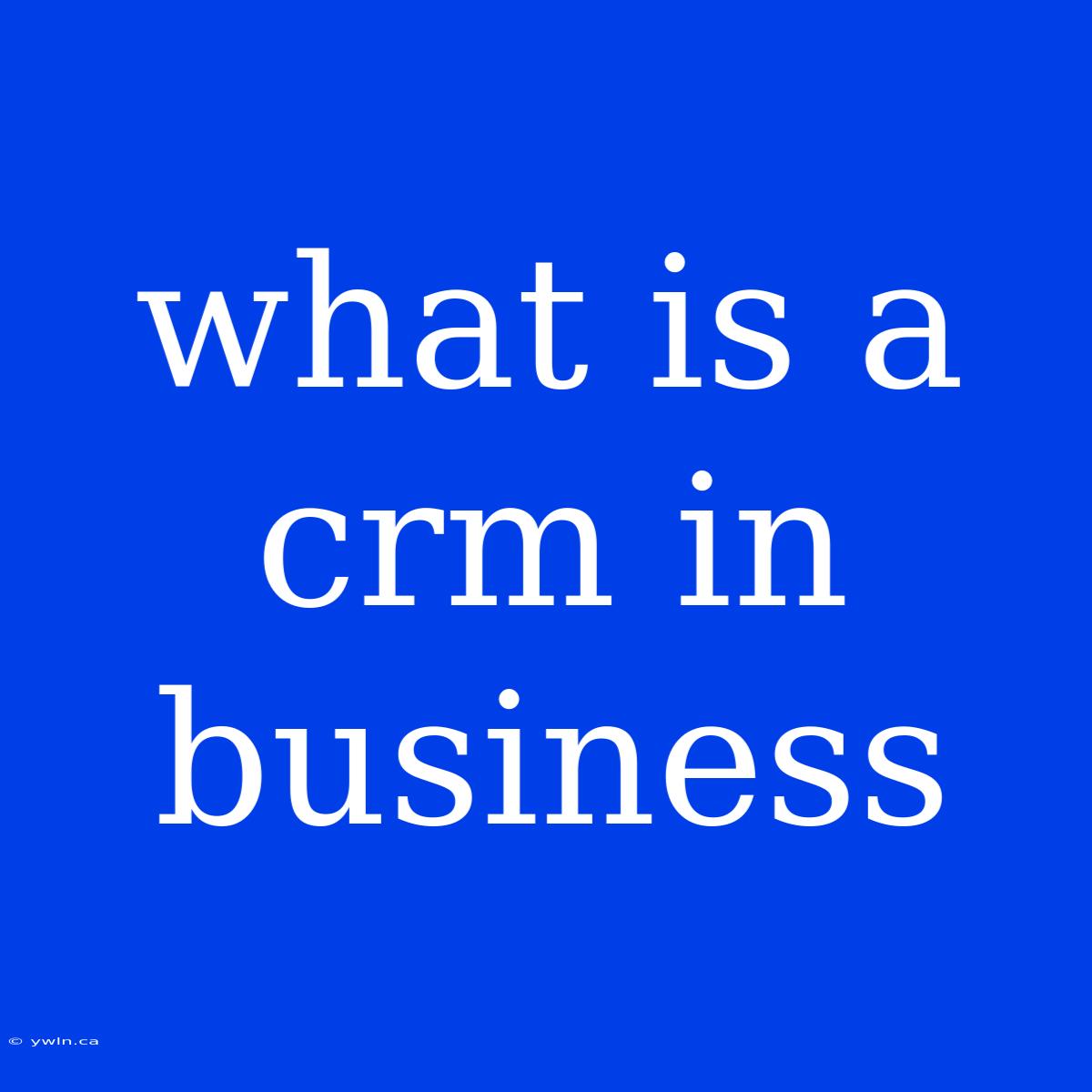 What Is A Crm In Business