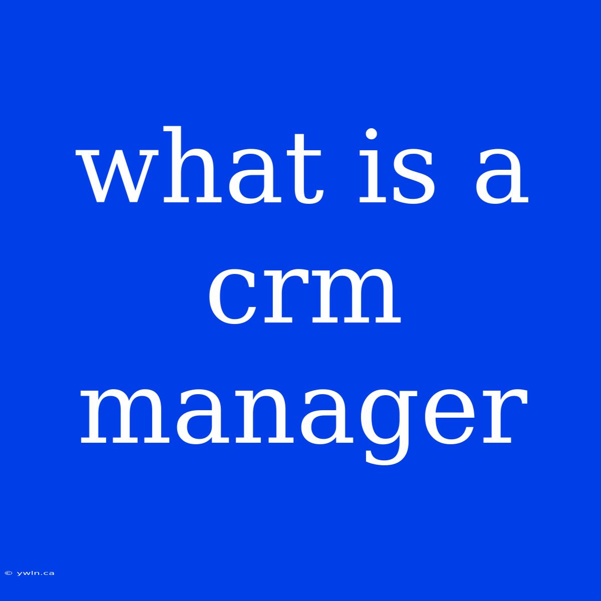 What Is A Crm Manager