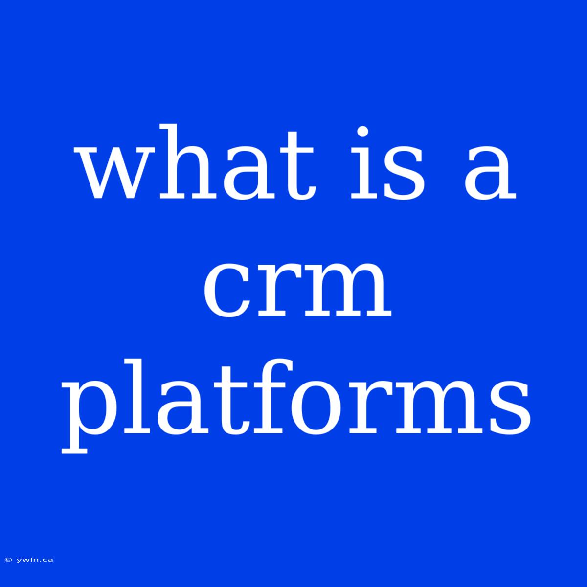 What Is A Crm Platforms