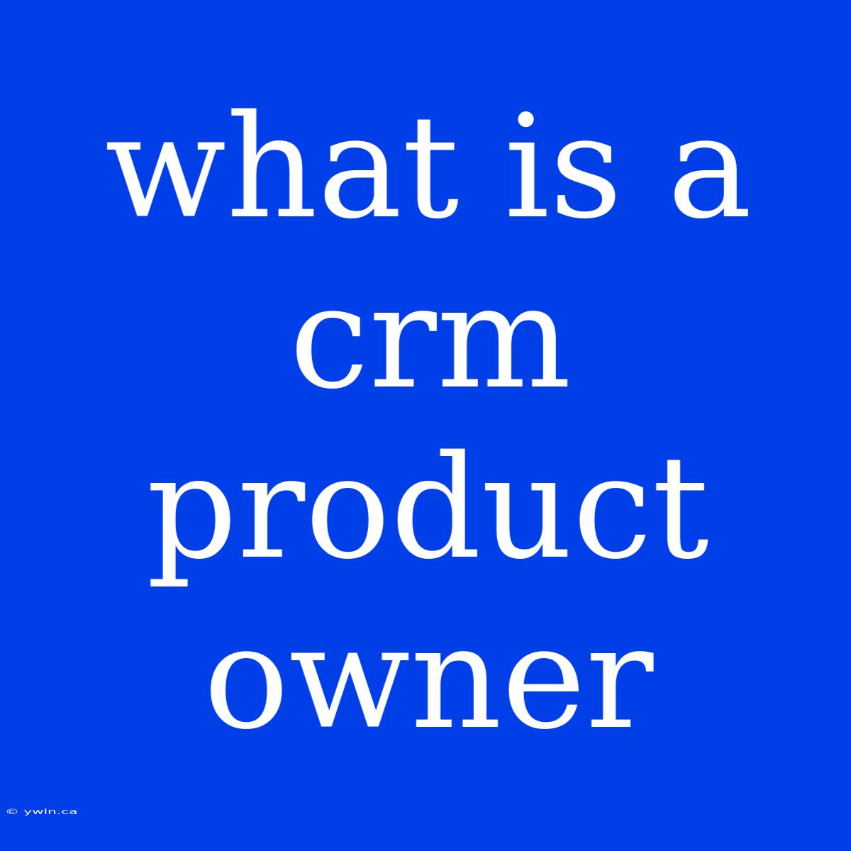 What Is A Crm Product Owner