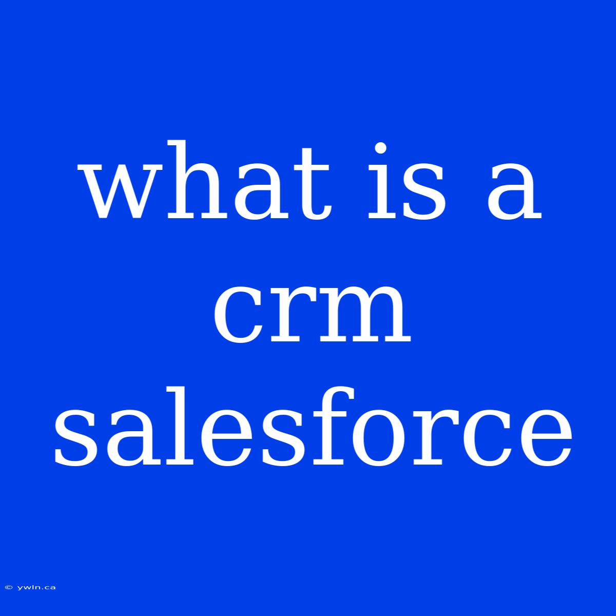 What Is A Crm Salesforce