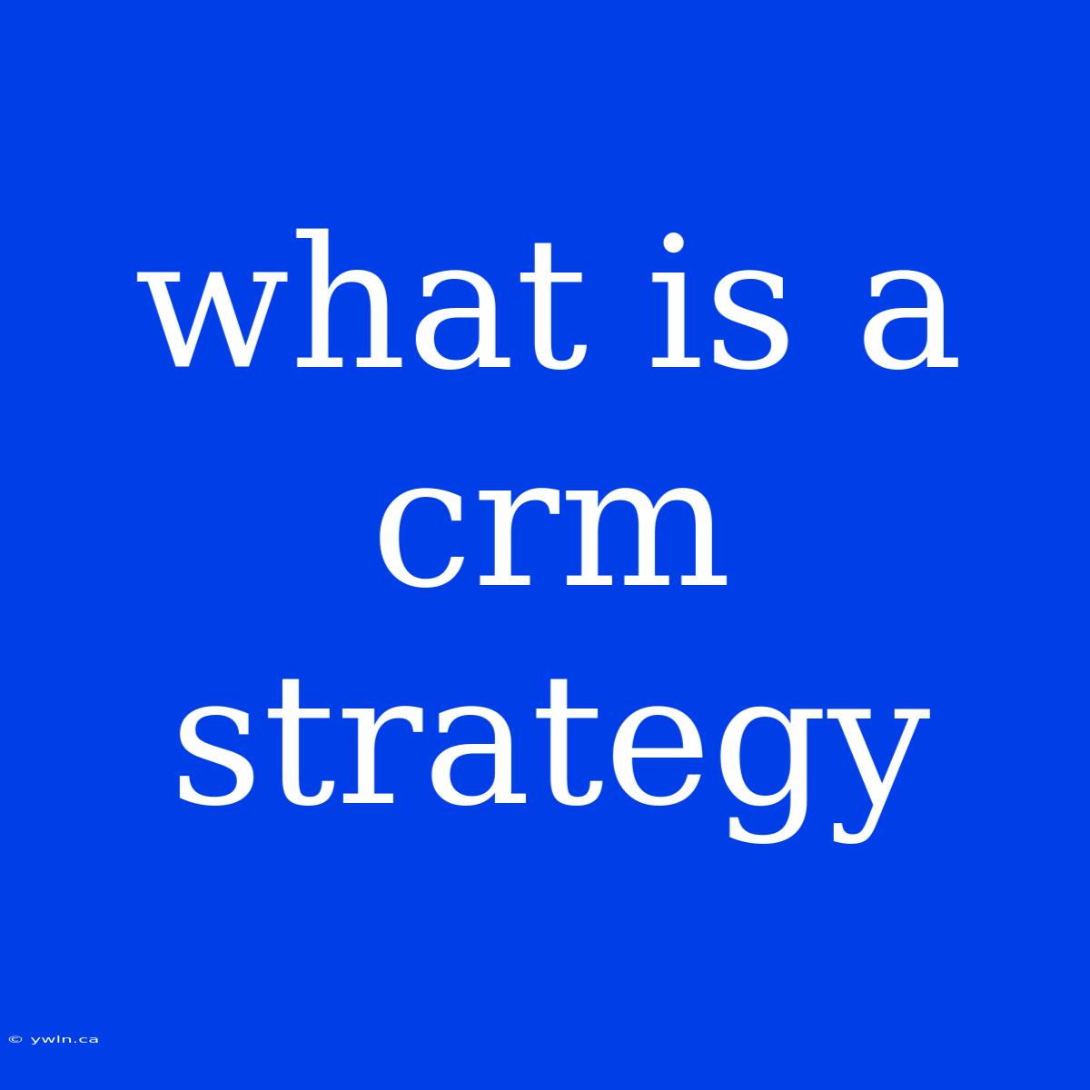 What Is A Crm Strategy