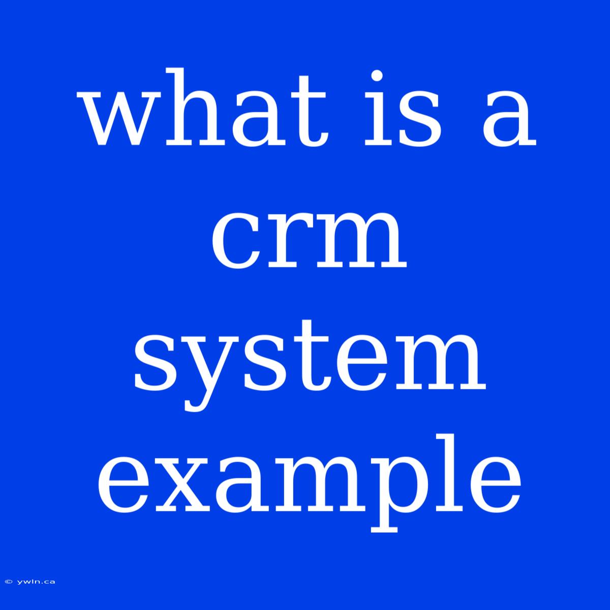 What Is A Crm System Example