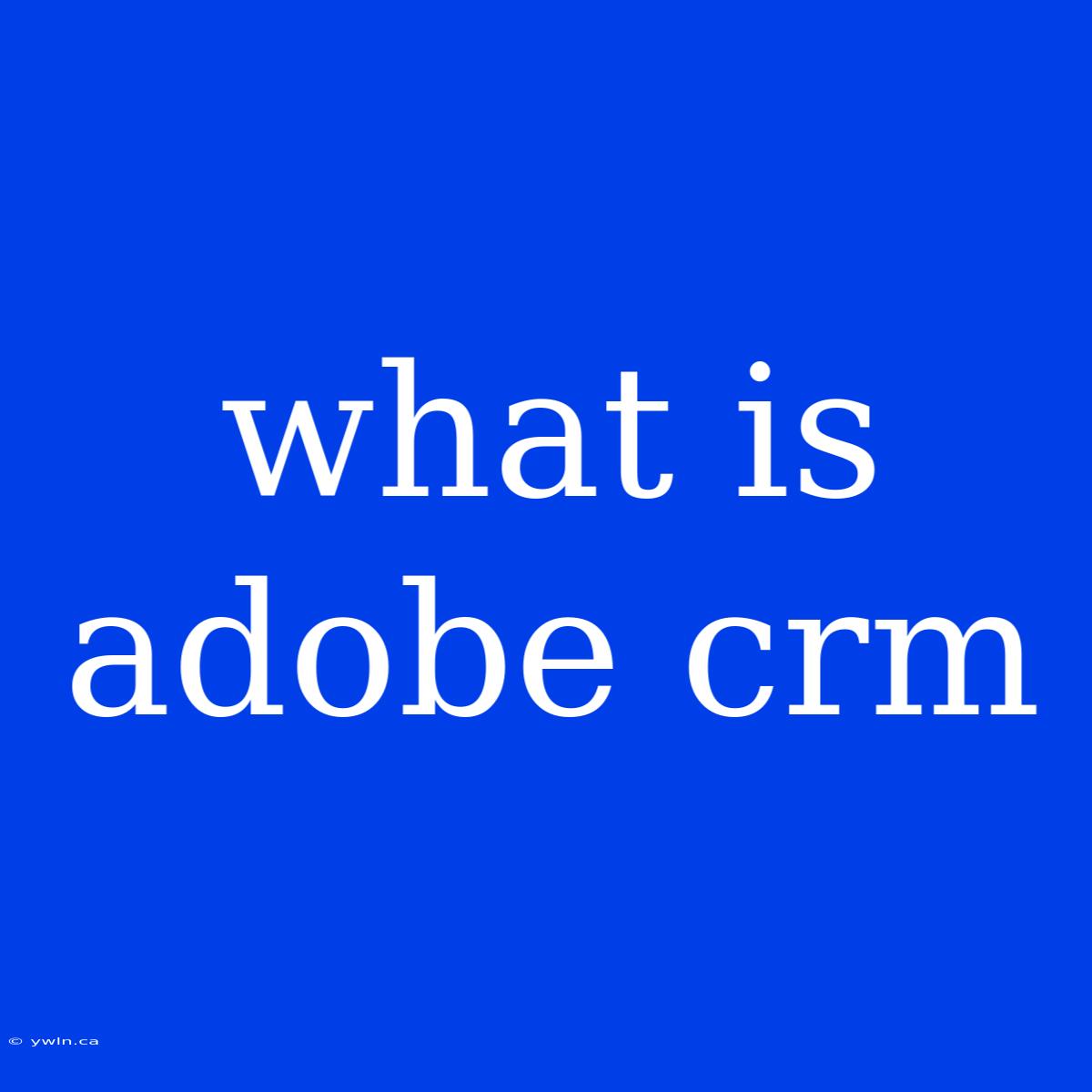 What Is Adobe Crm