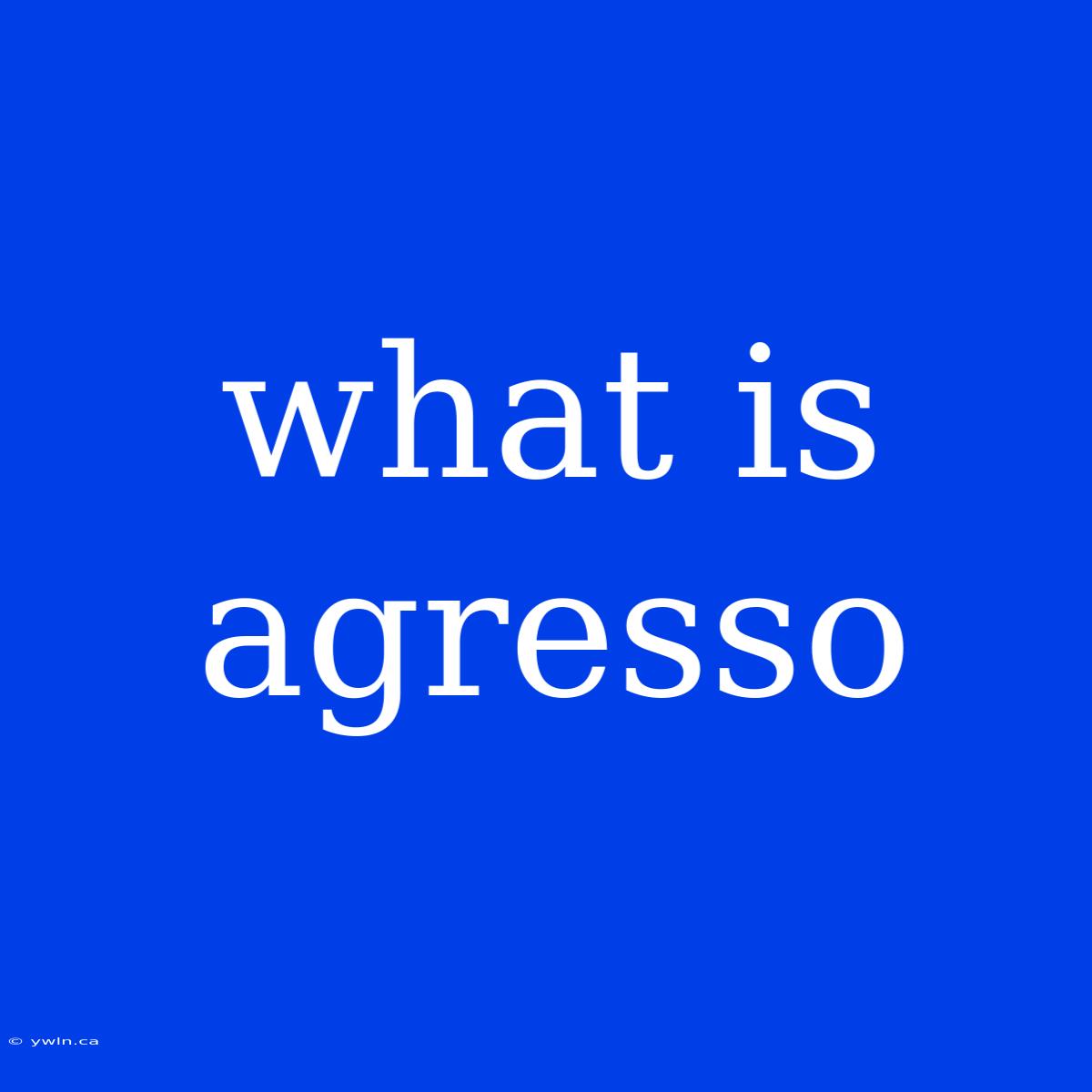 What Is Agresso