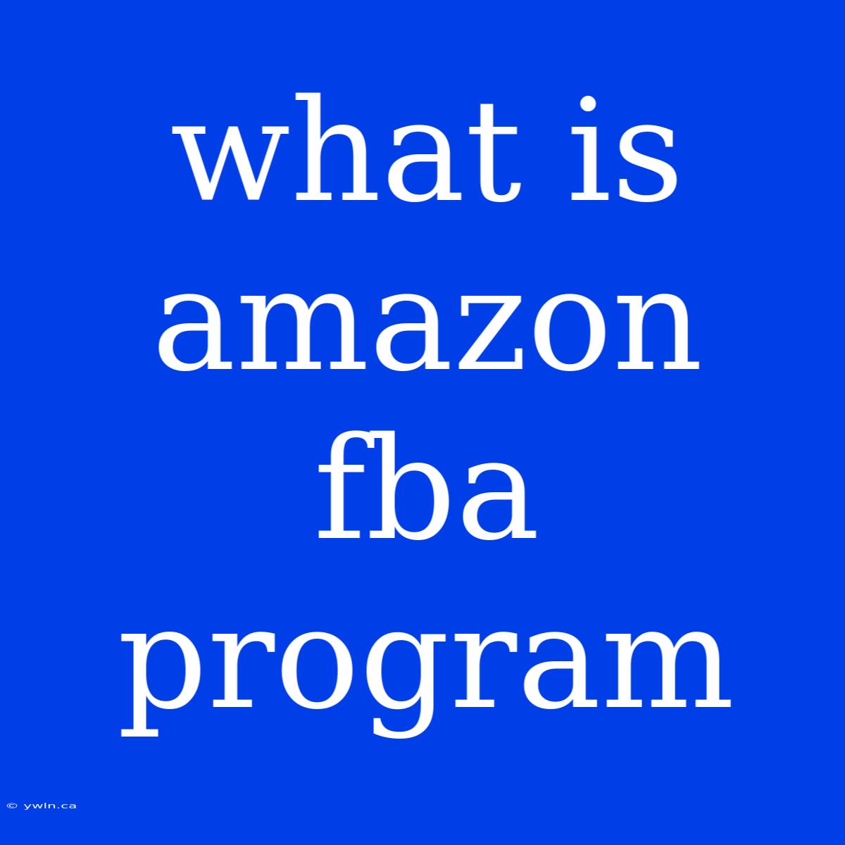 What Is Amazon Fba Program