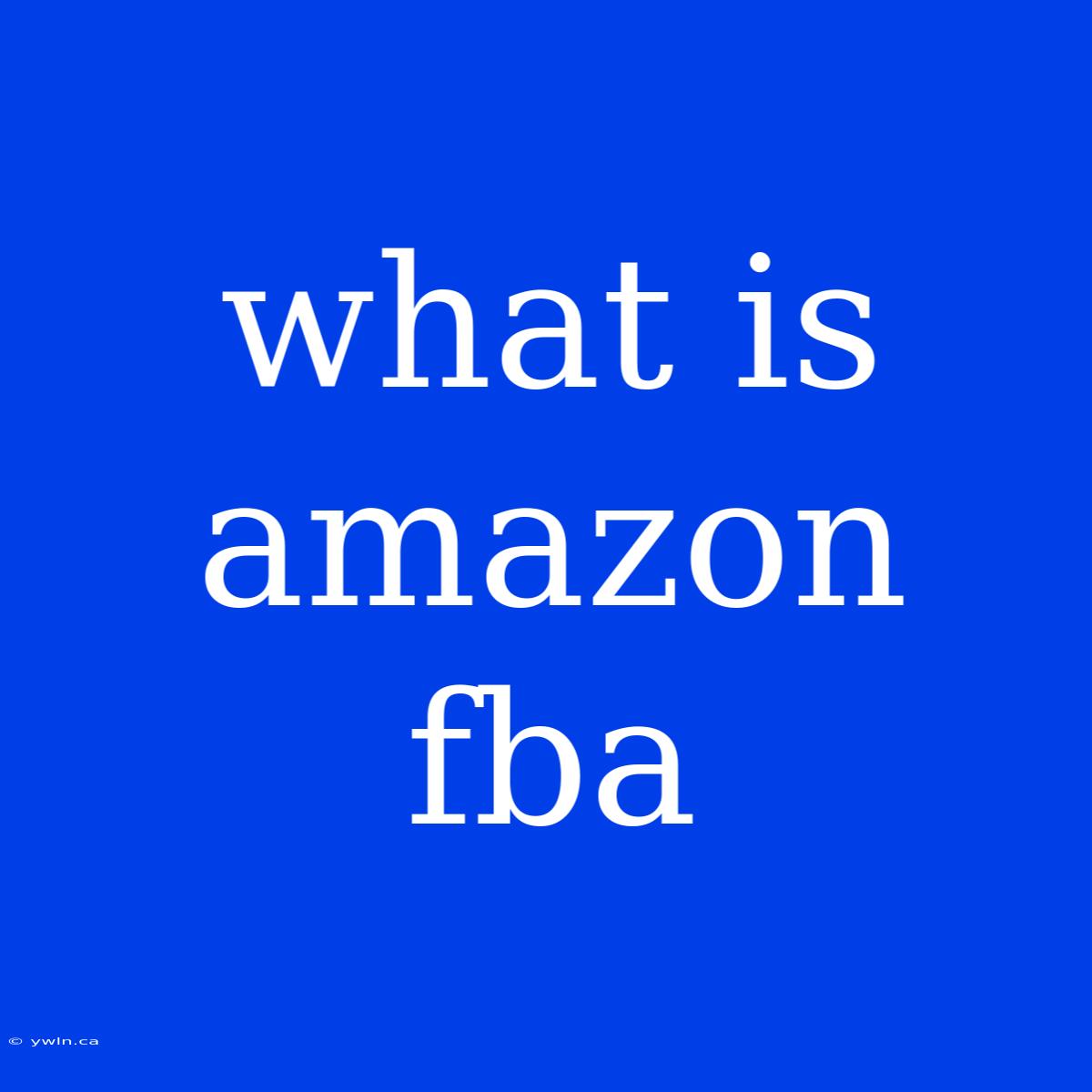 What Is Amazon Fba