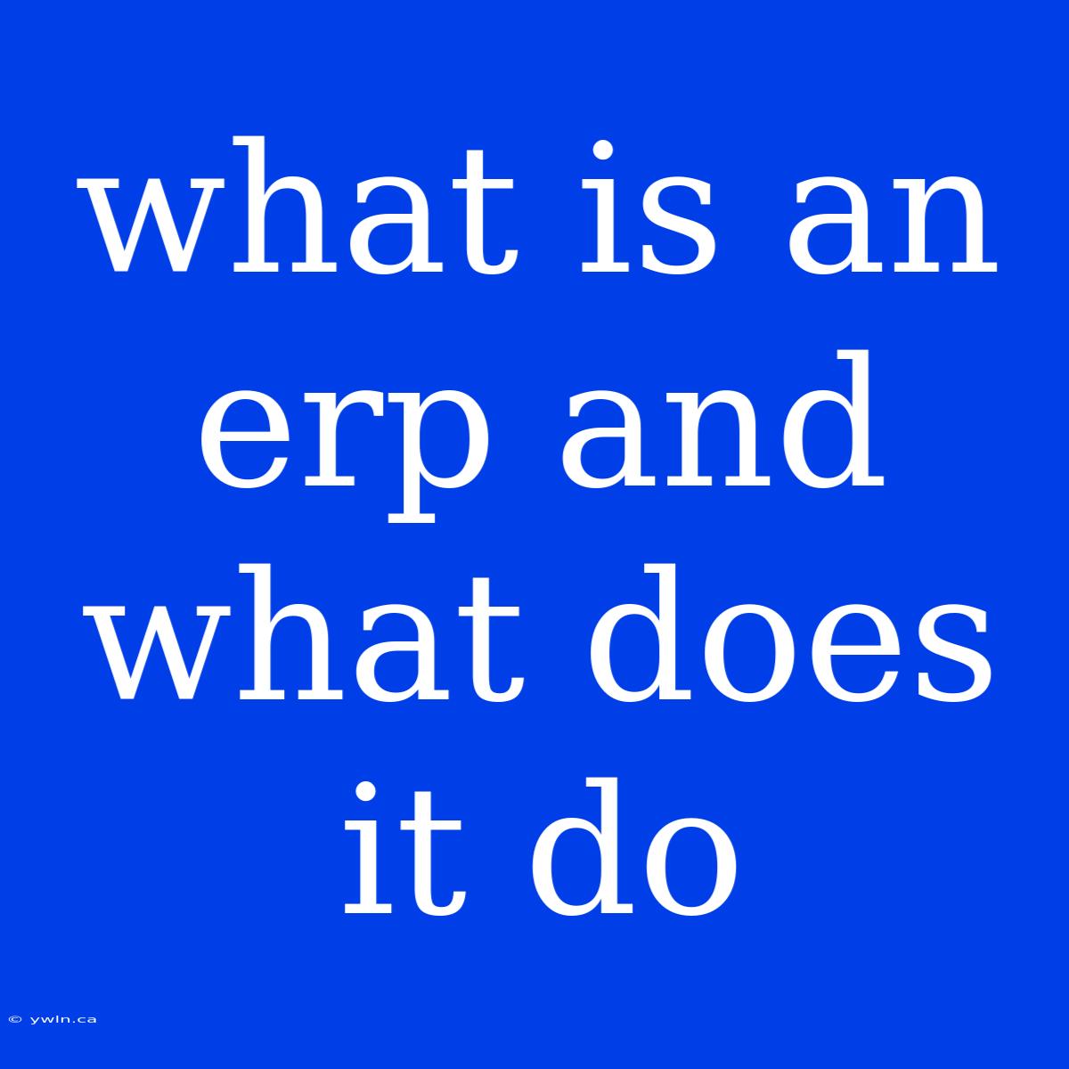 What Is An Erp And What Does It Do