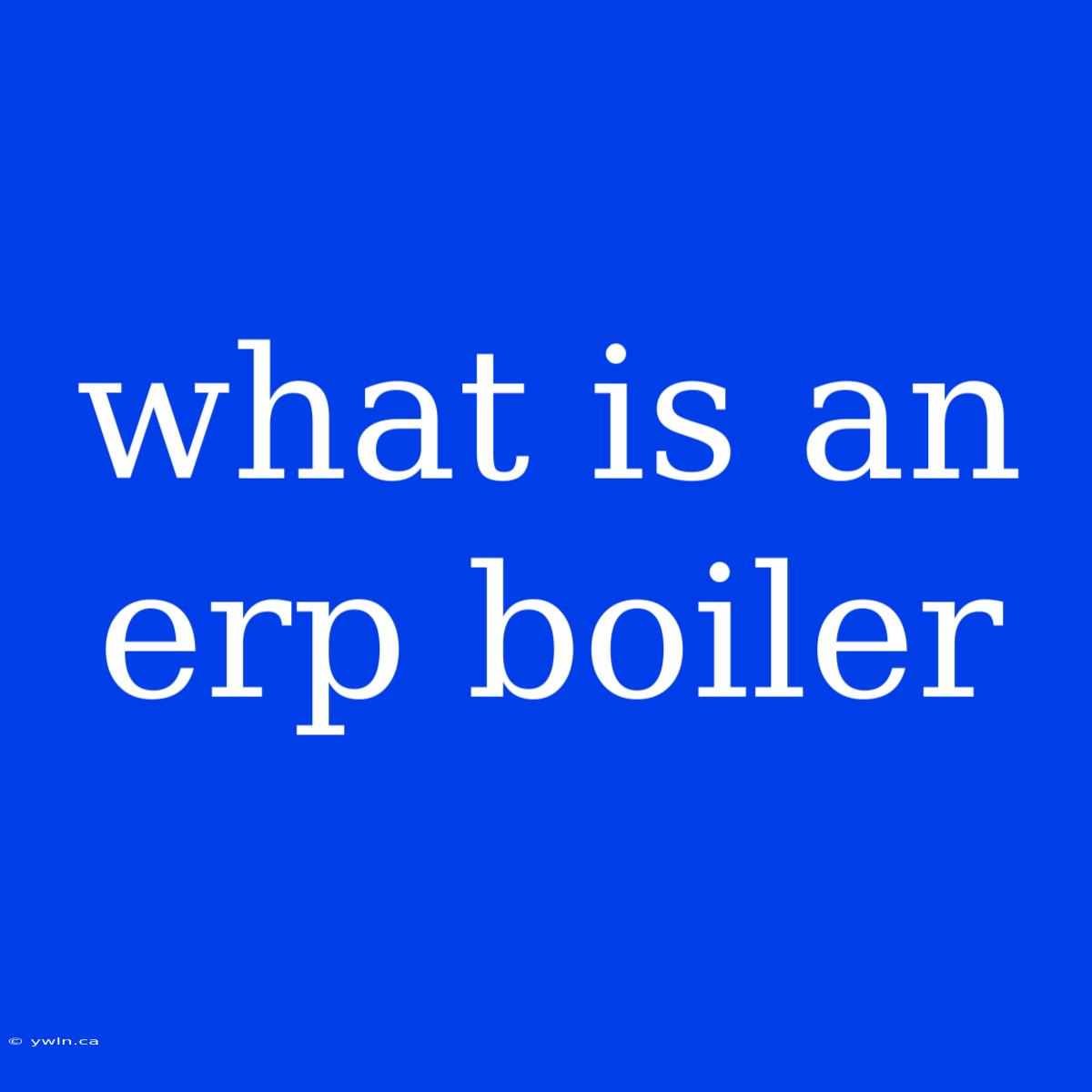 What Is An Erp Boiler